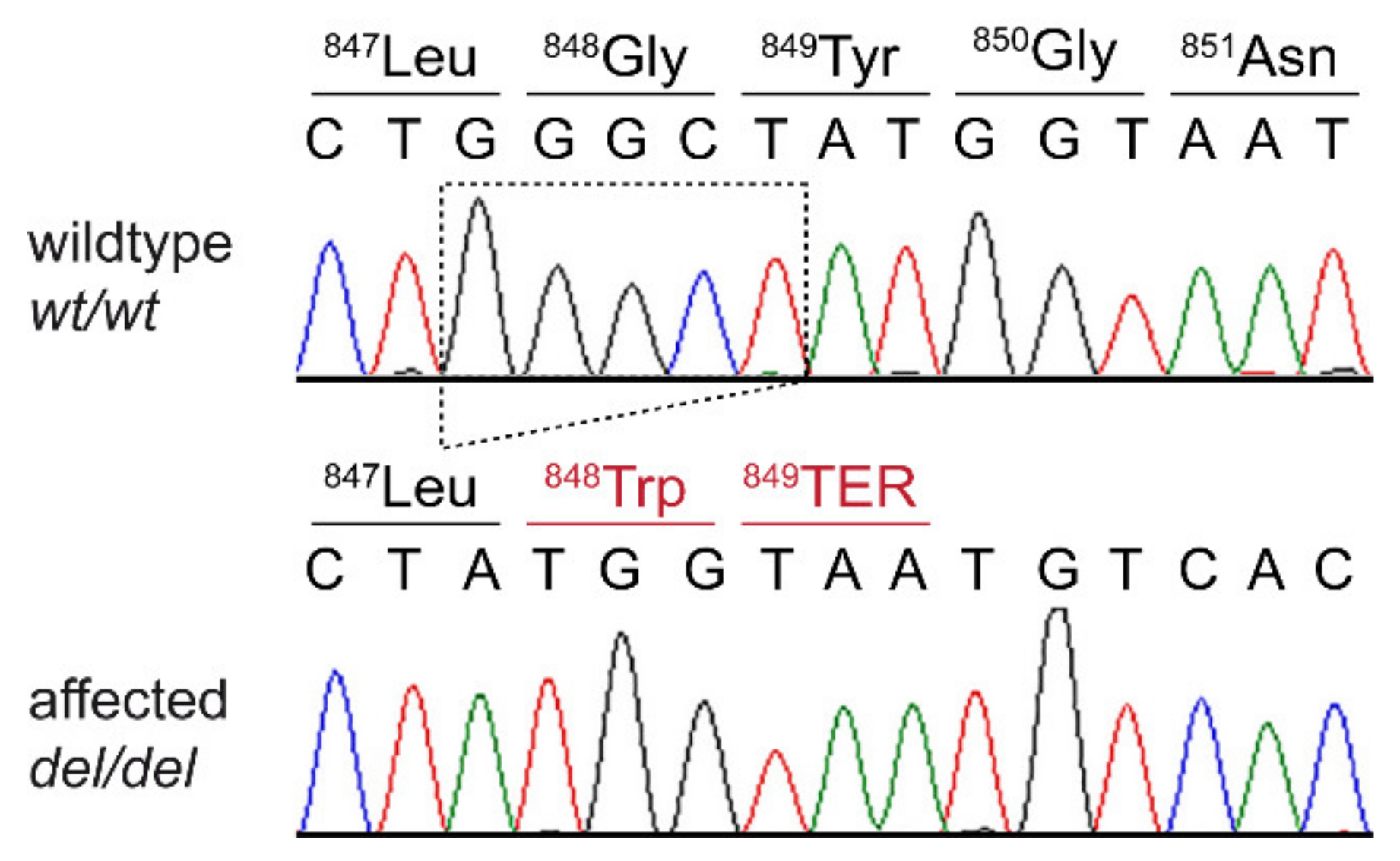 Genes 11 00469 g003 Genes 11 00469 g003