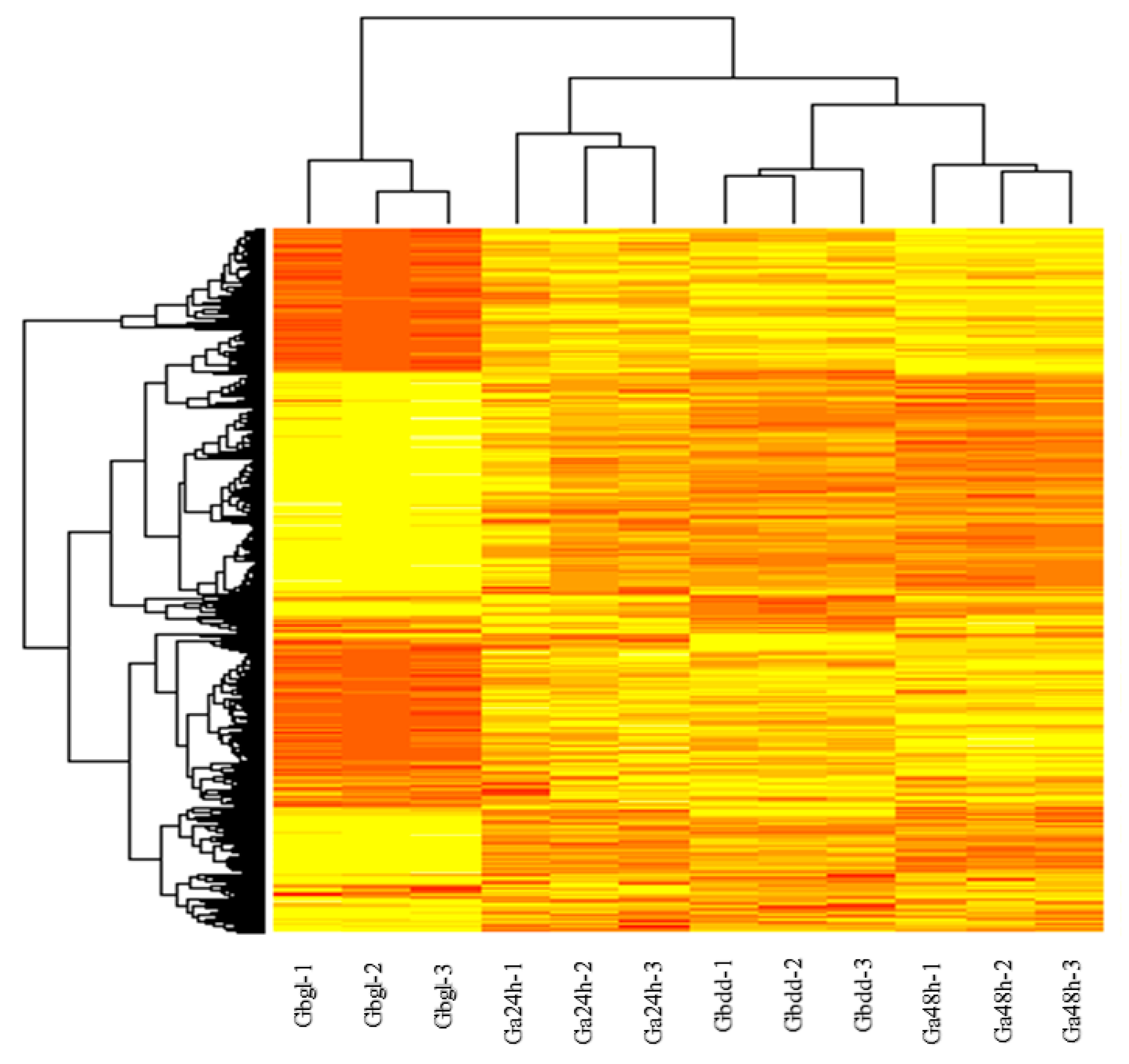 Genes 11 00472 g004 Genes 11 00472 g004
