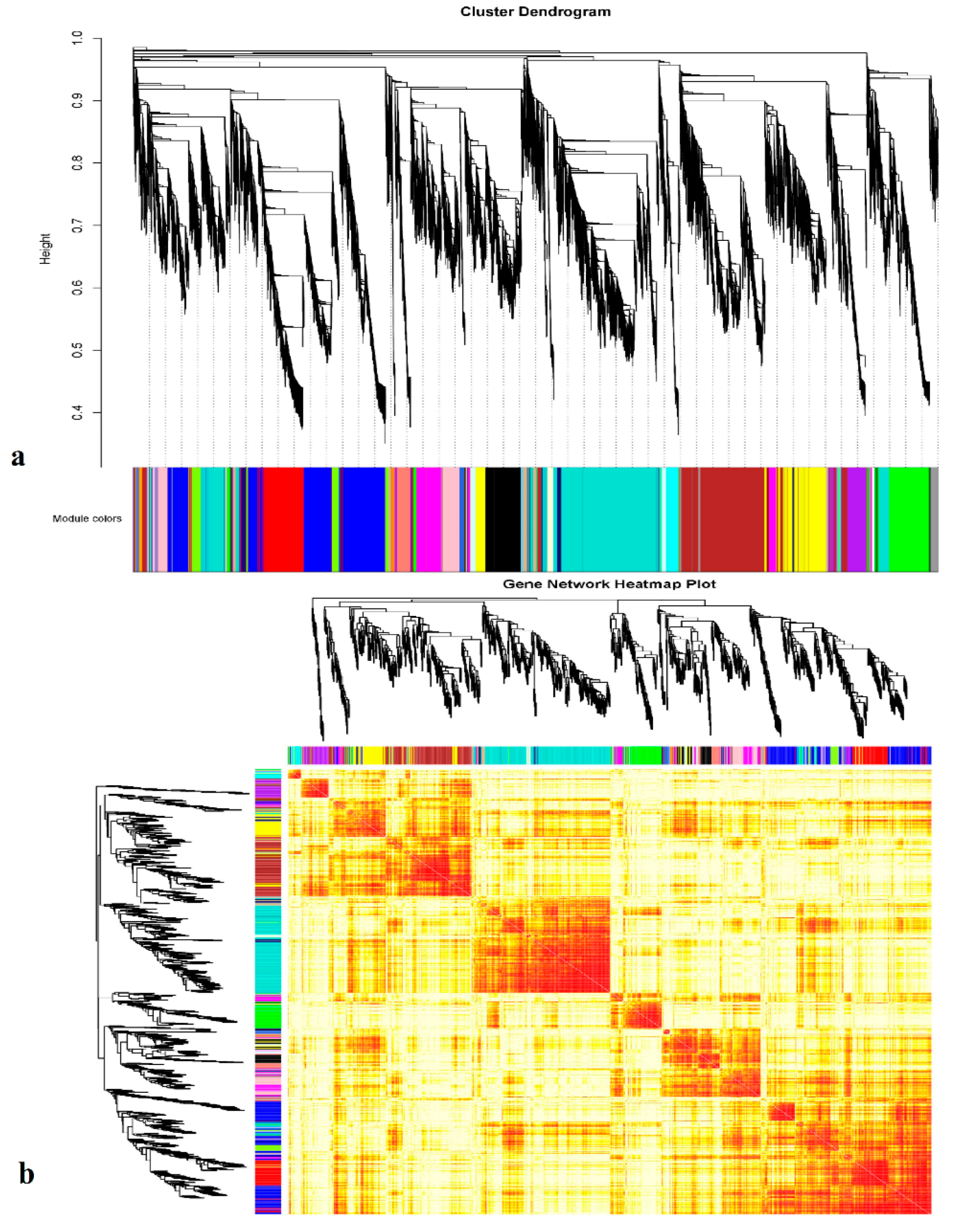 Genes 11 00472 g008 Genes 11 00472 g008