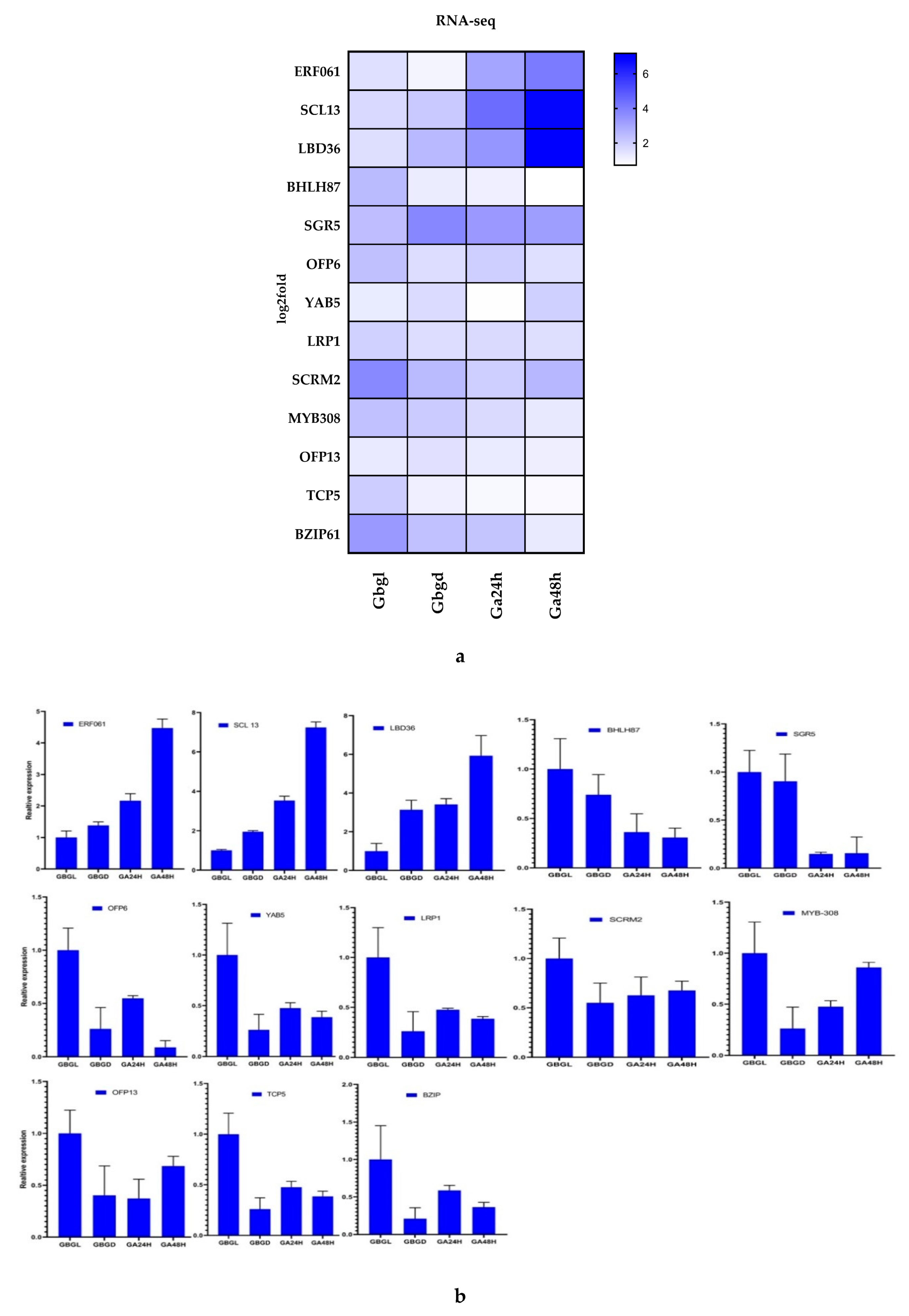 Genes 11 00472 g009 Genes 11 00472 g009
