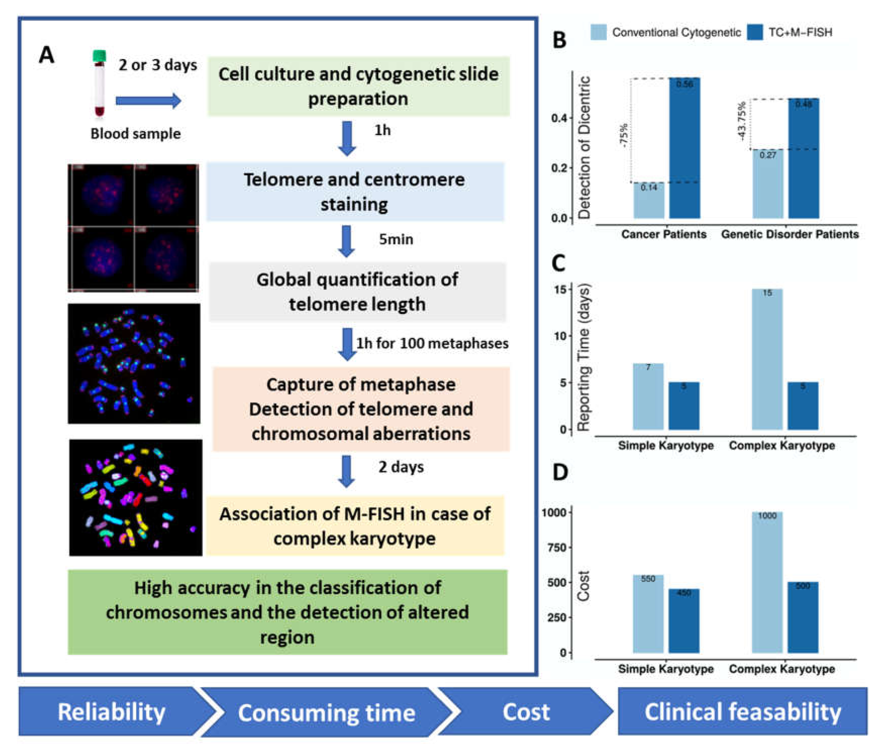Genes 11 00475 g008