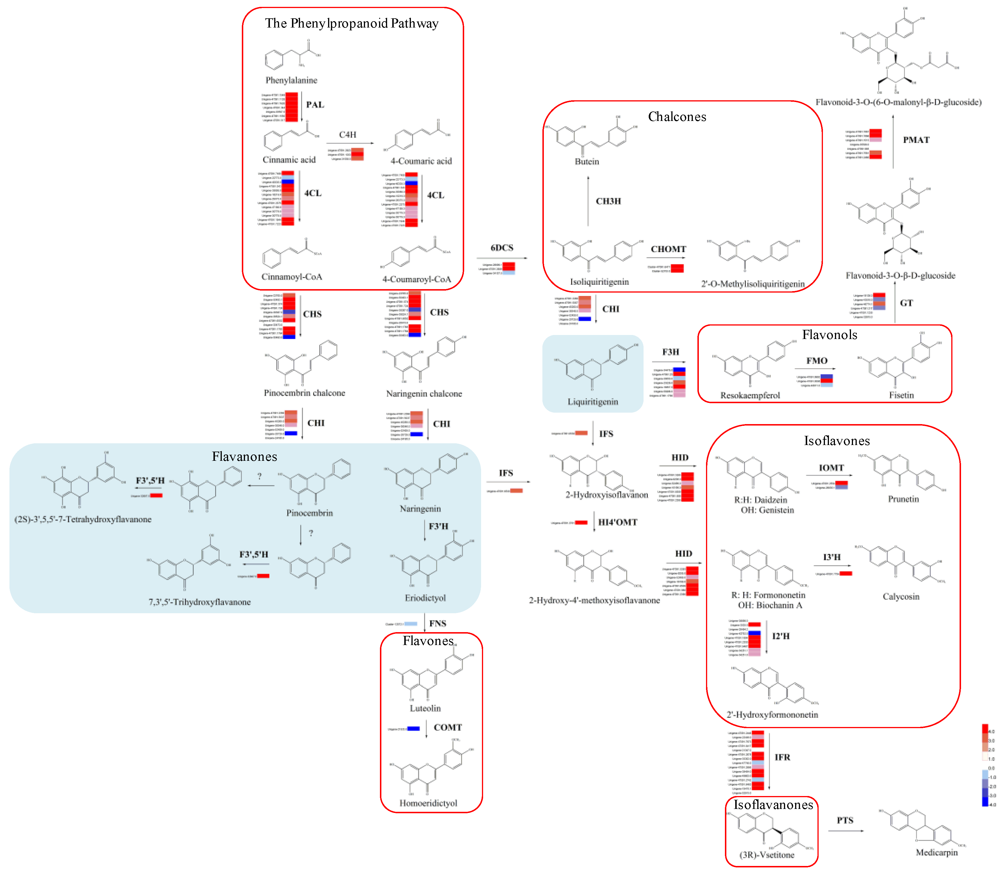 Genes 11 00478 g005 Genes 11 00478 g005