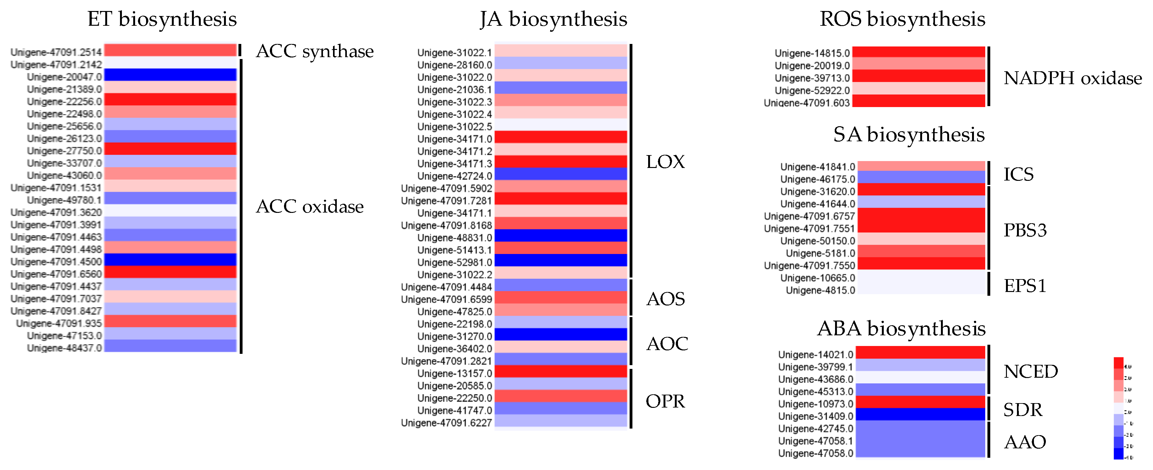 Genes 11 00478 g007 Genes 11 00478 g007