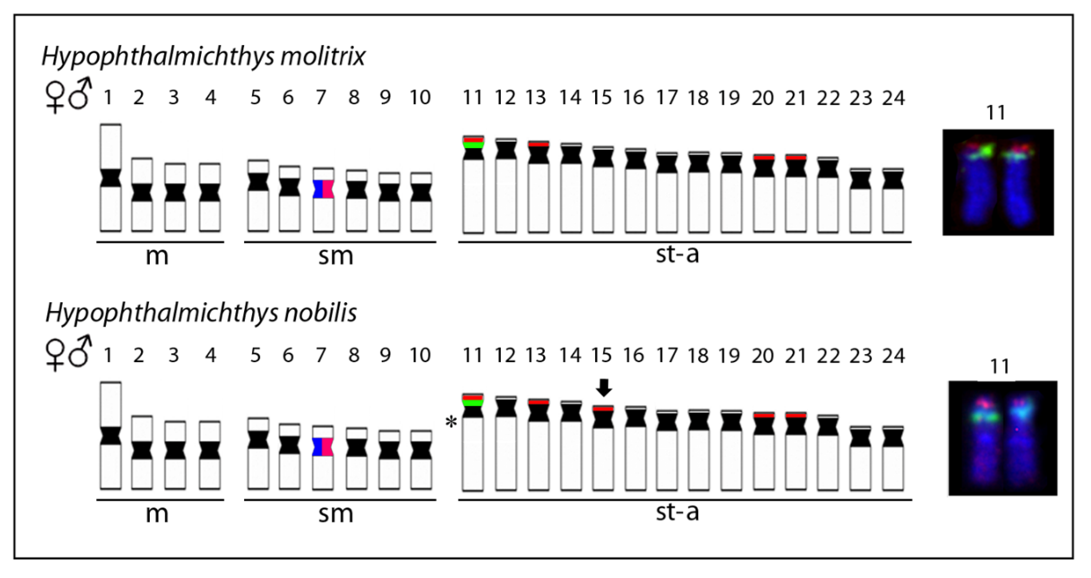 Genes 11 00479 g005 Genes 11 00479 g005