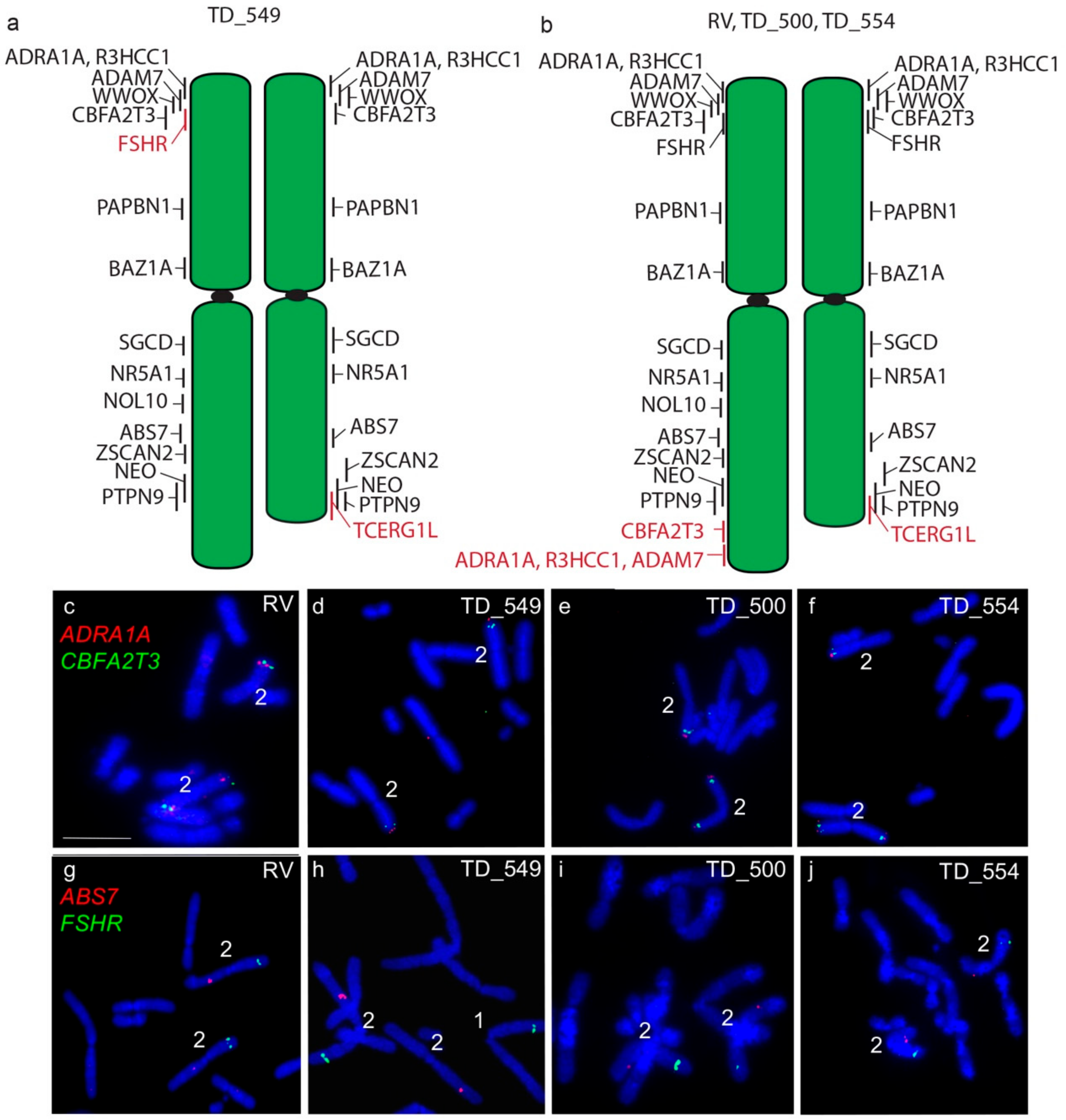 Genes 11 00480 g003 Genes 11 00480 g003
