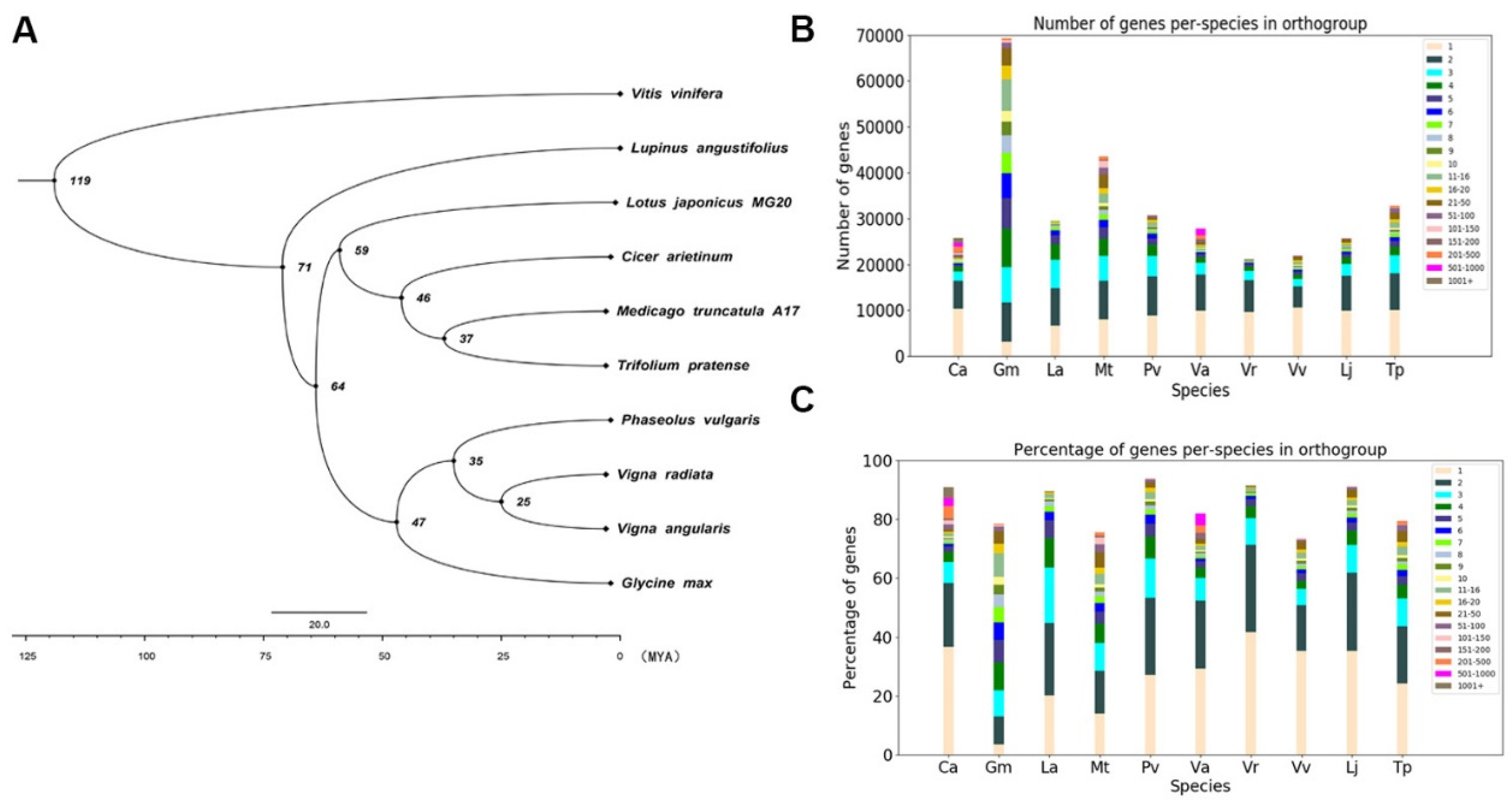 Genes 11 00483 g004