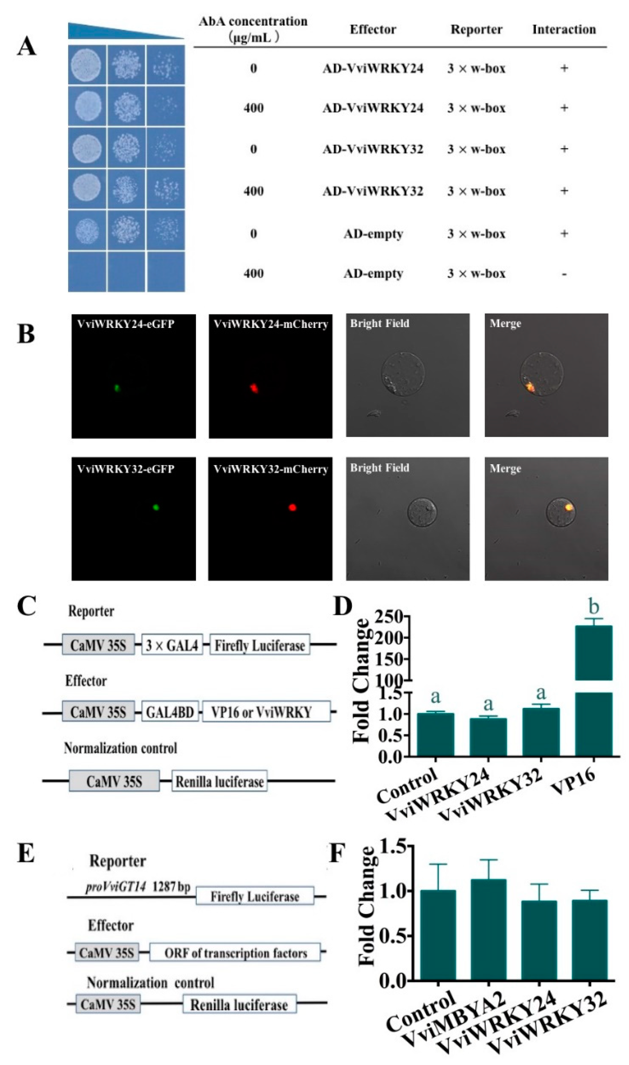 Genes 11 00485 g003