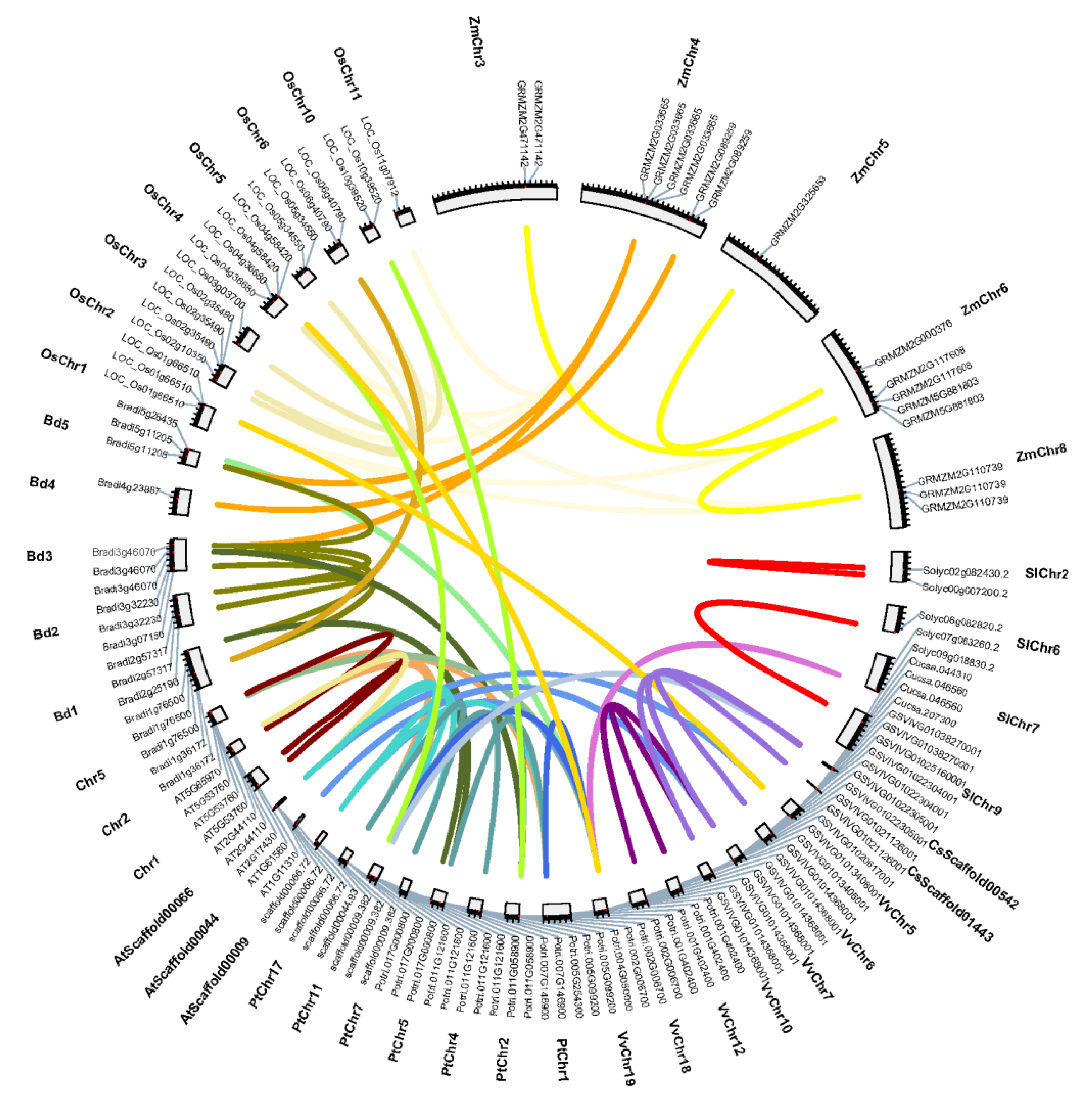 Genes 11 00487 g001 Genes 11 00487 g001