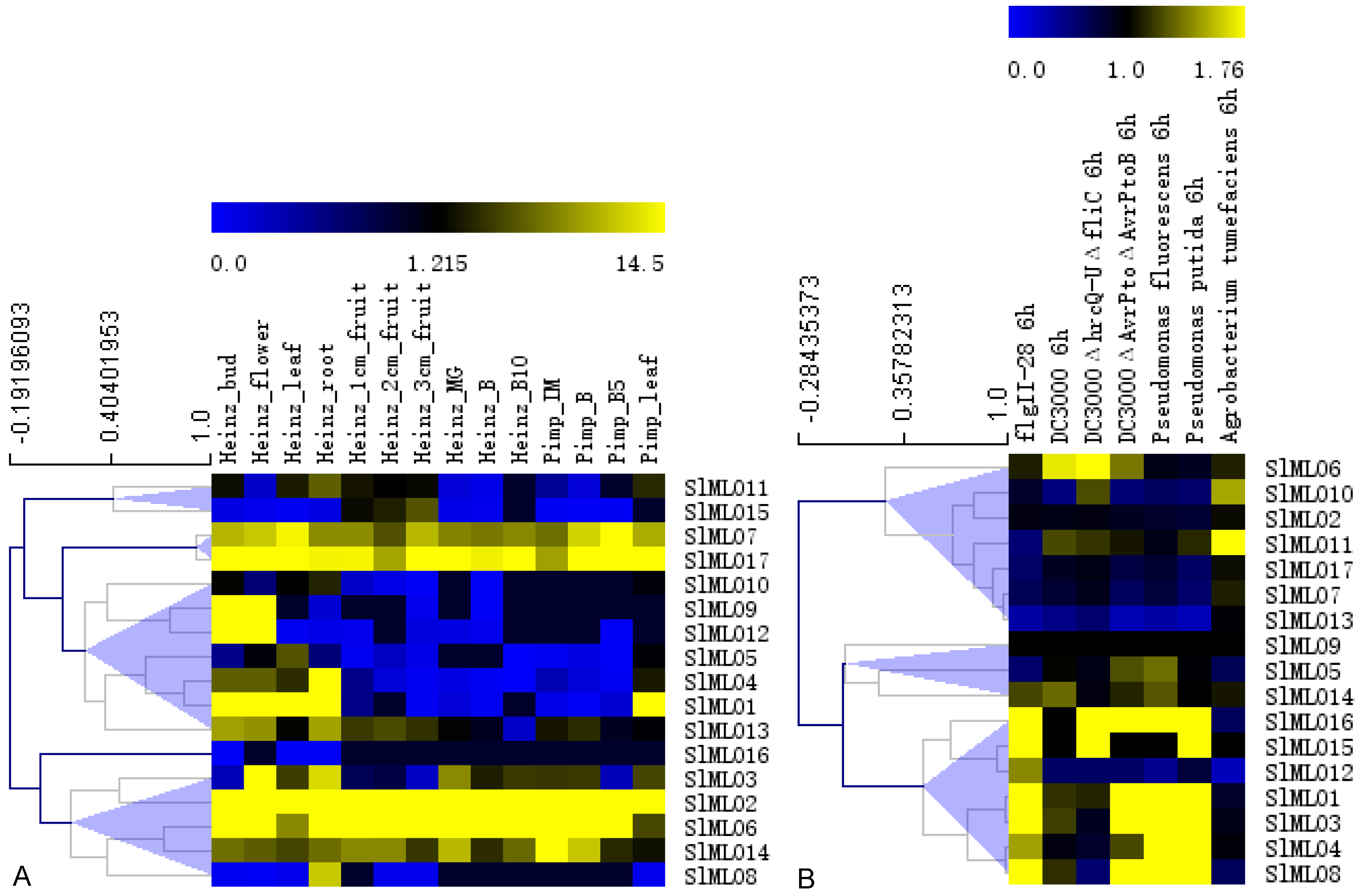 Genes 11 00487 g004 Genes 11 00487 g004