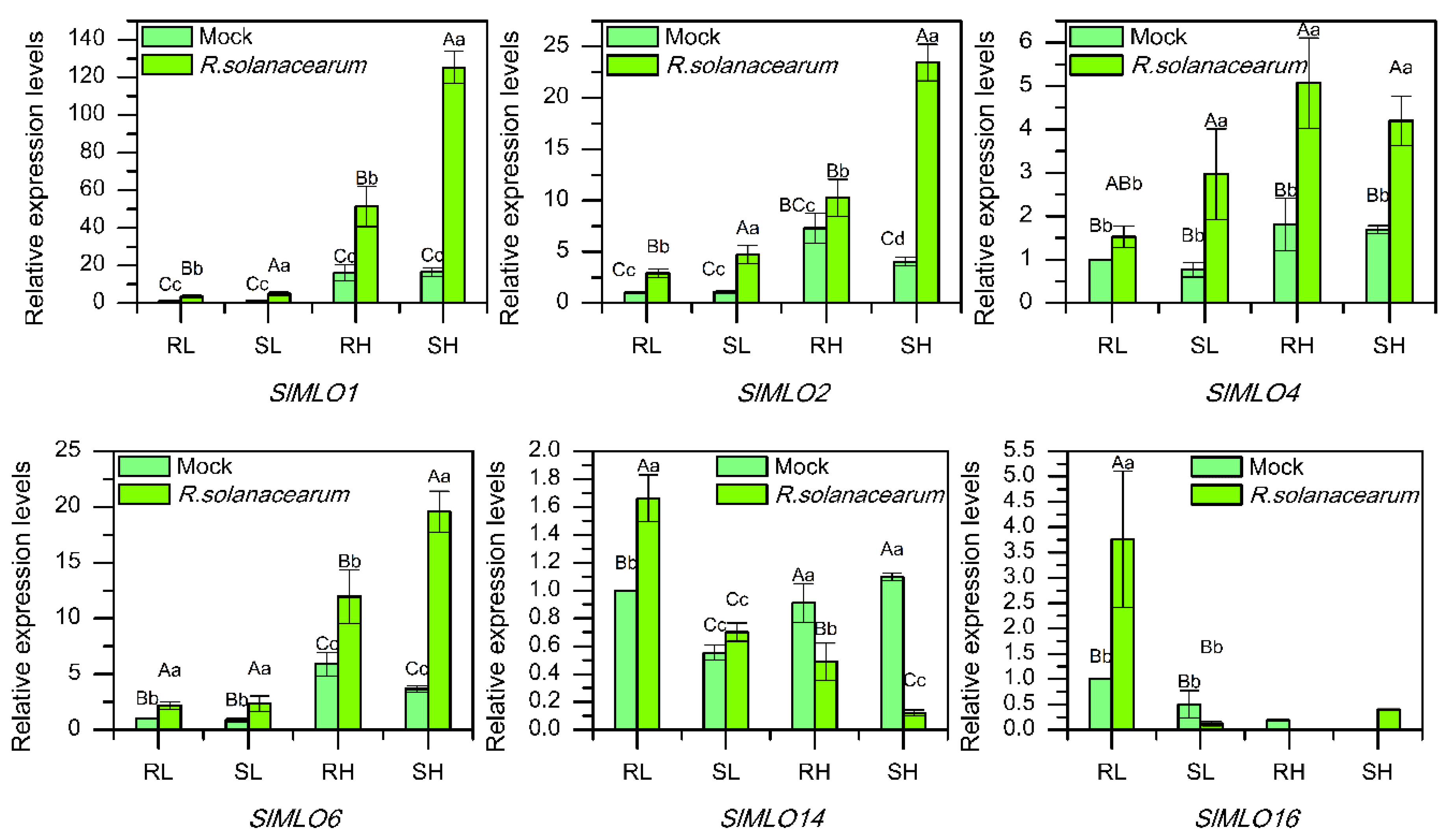 Genes 11 00487 g005 Genes 11 00487 g005