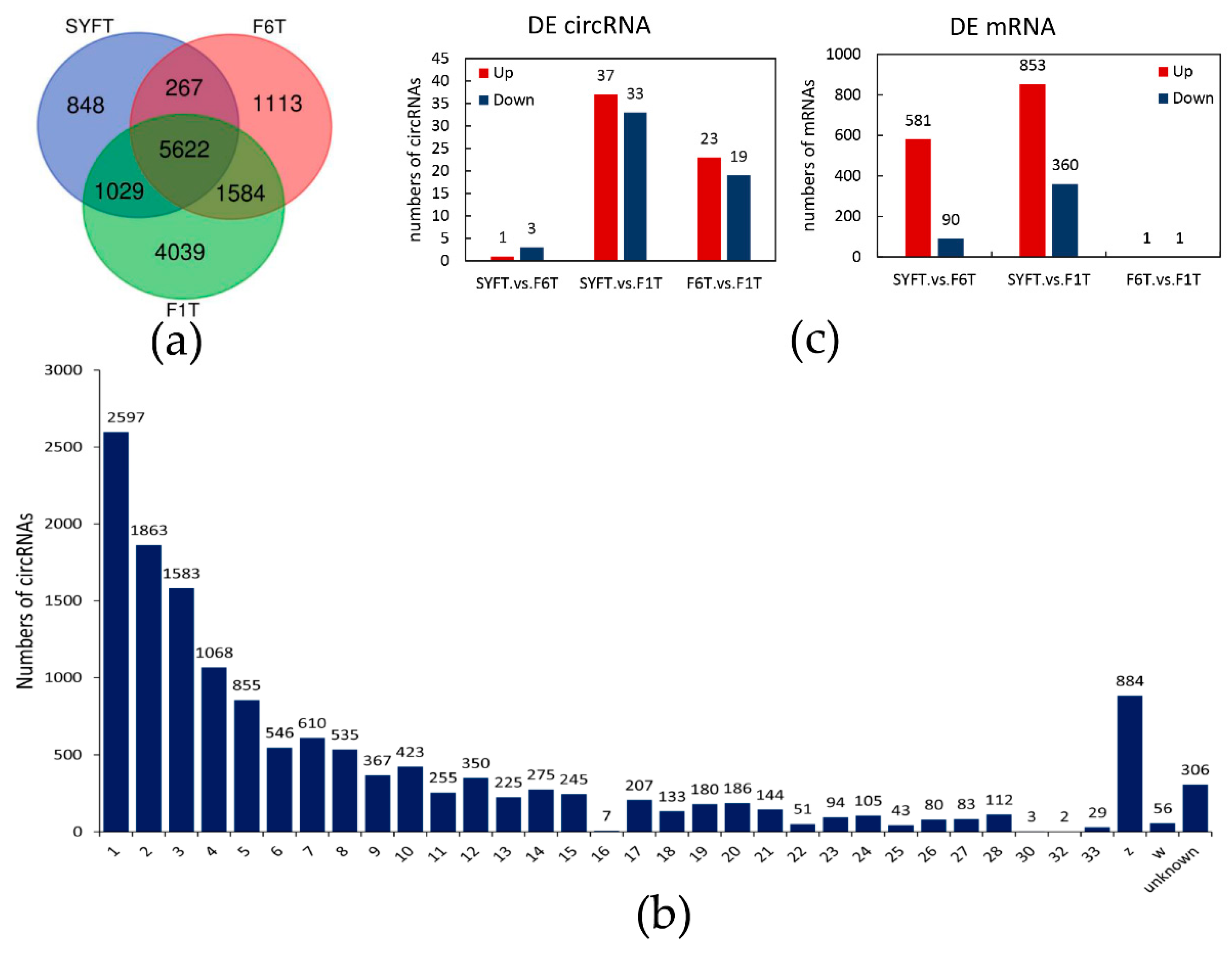 Genes 11 00489 g001