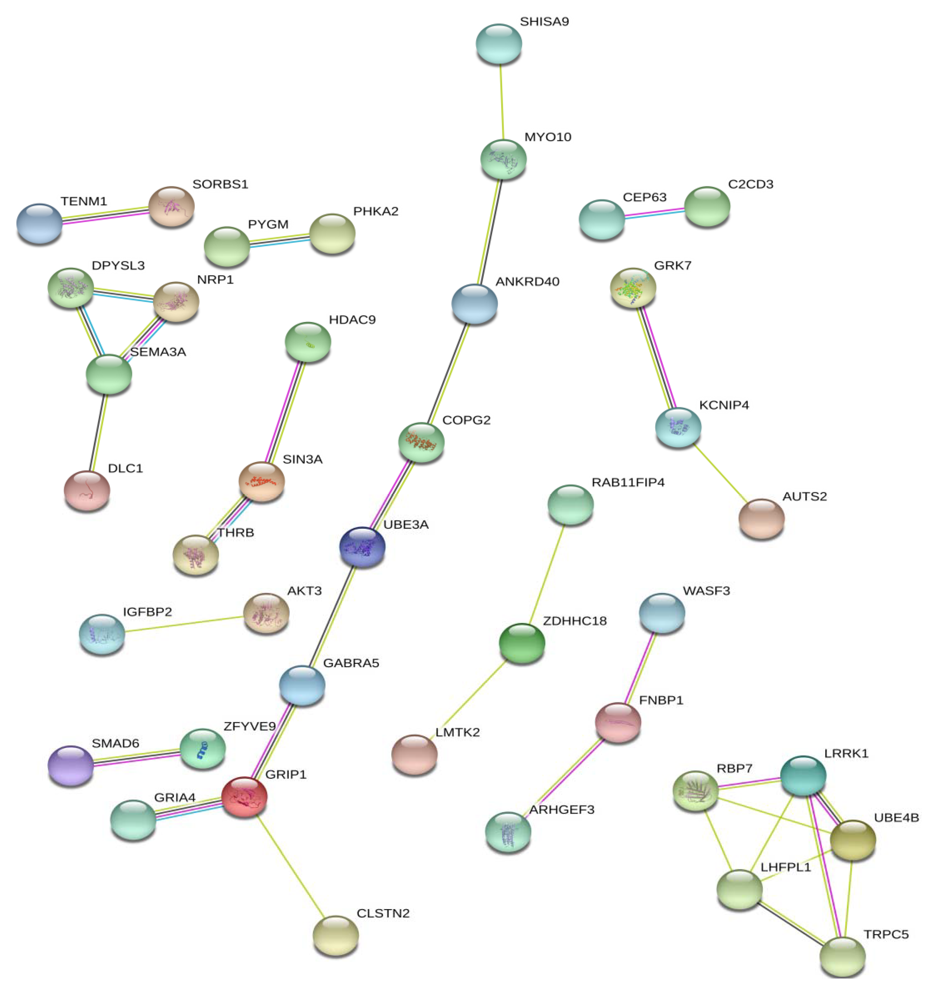 Genes 11 00491 g001 Genes 11 00491 g001