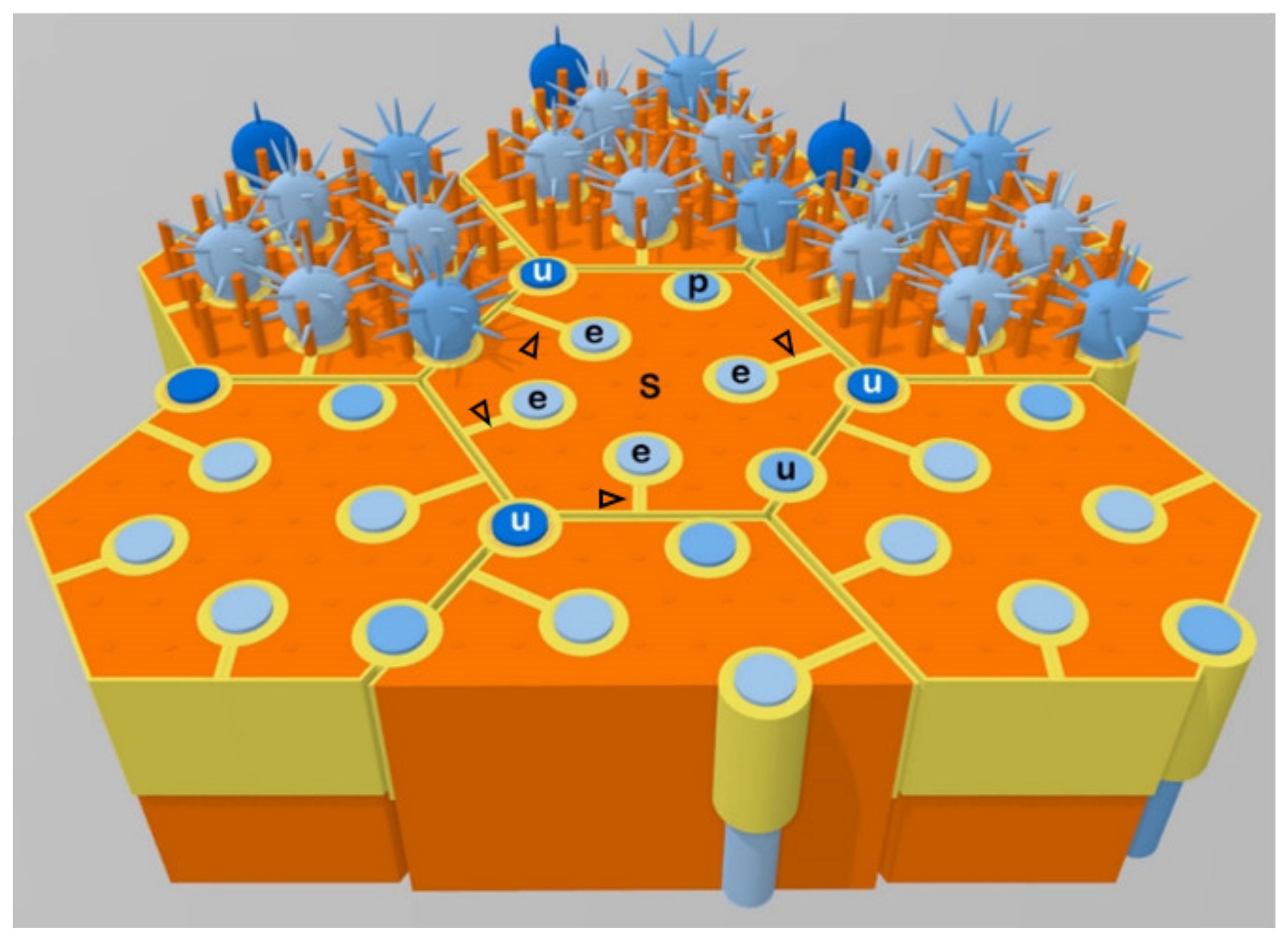 Genes 11 00493 g003 Genes 11 00493 g003