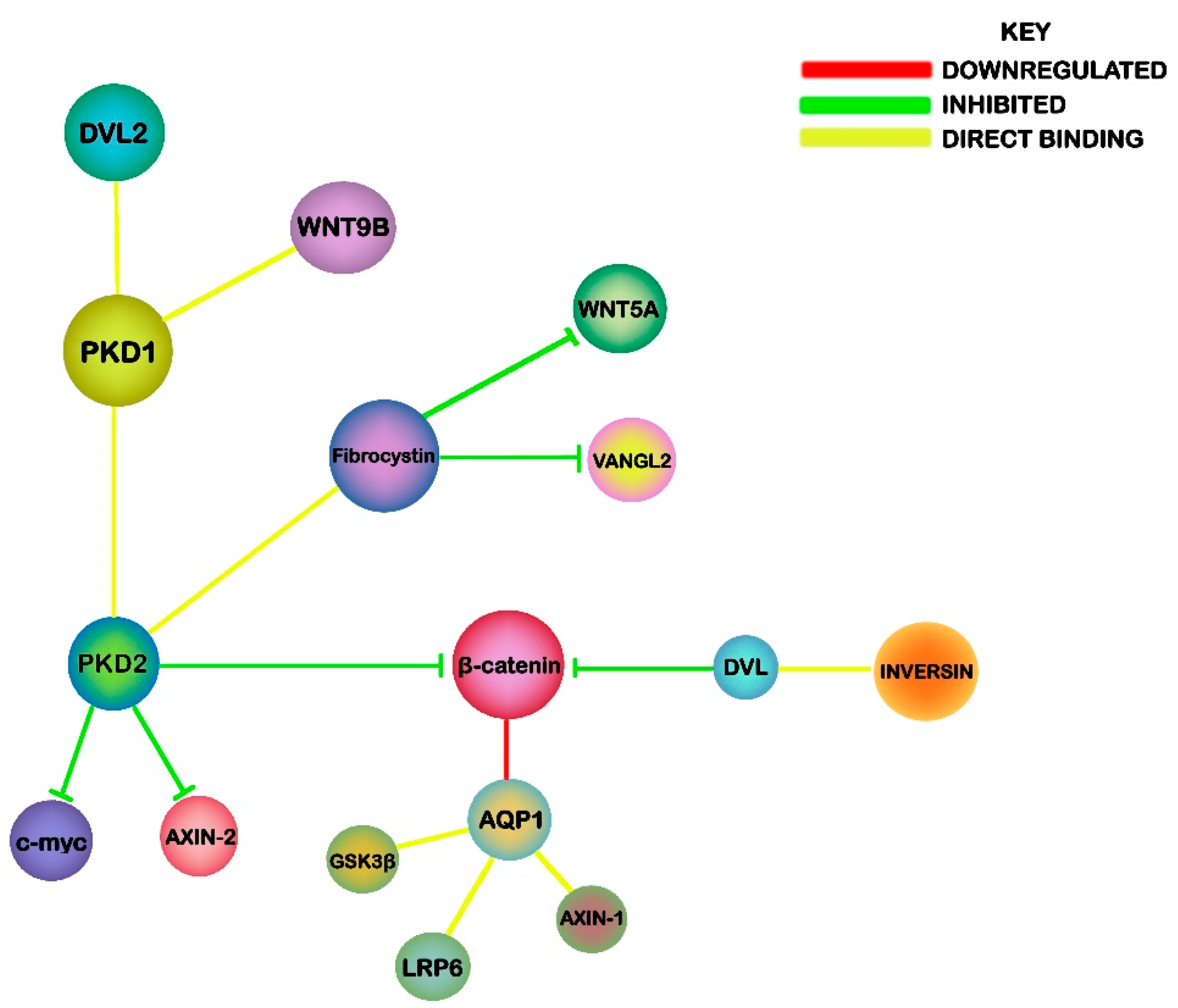 Genes 11 00496 g002 Genes 11 00496 g002