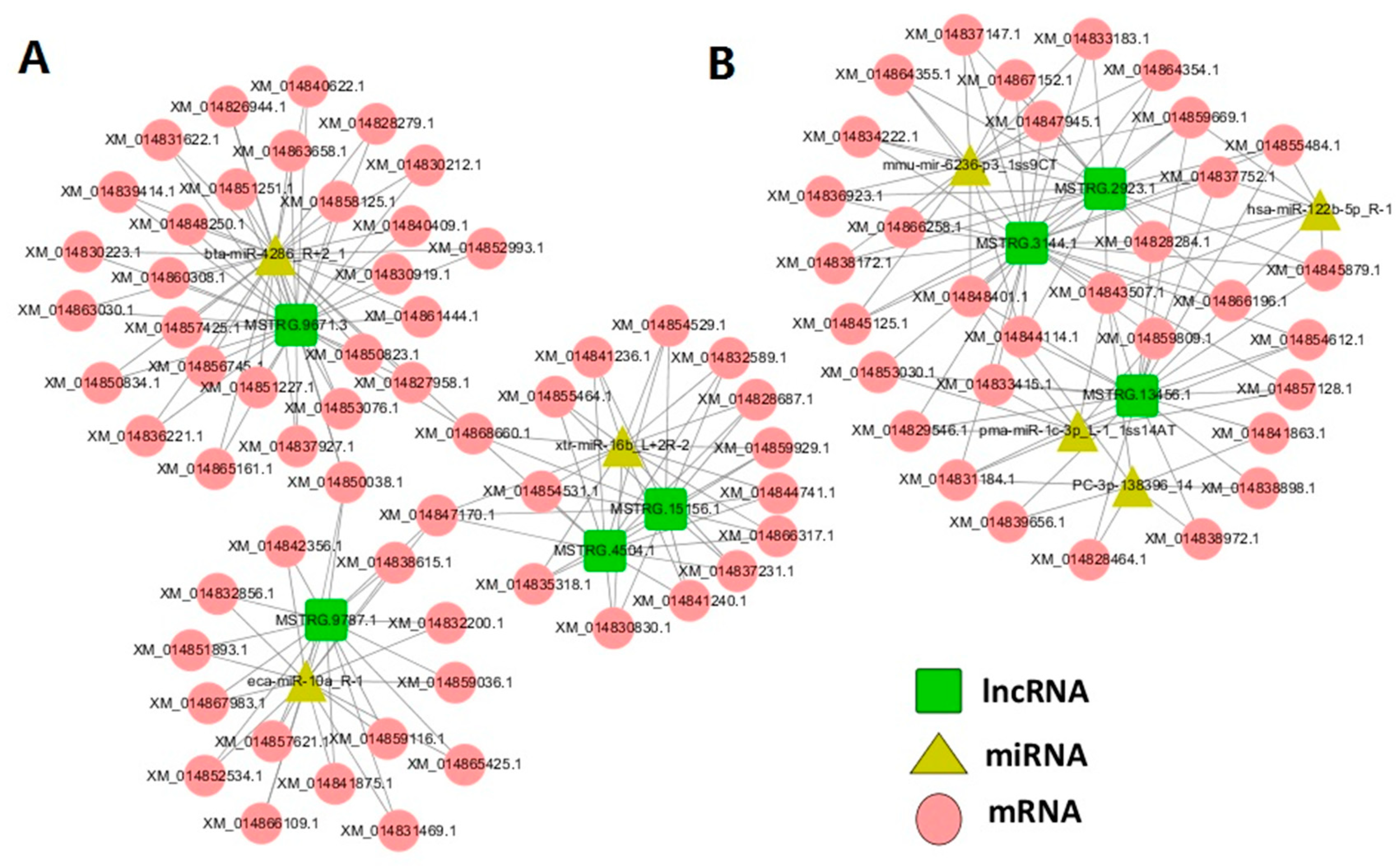 Genes 11 00508 g006