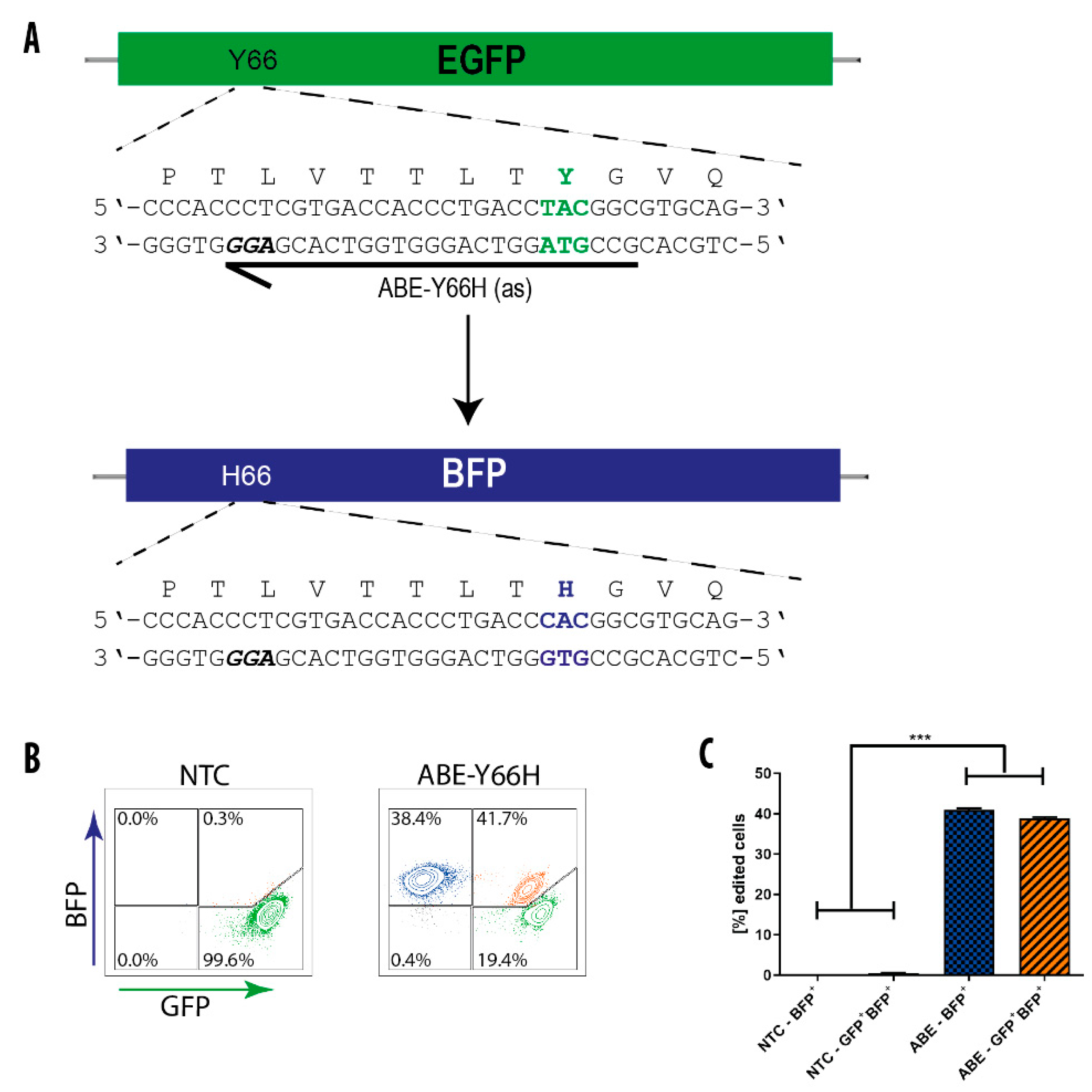Genes 11 00511 g003 Genes 11 00511 g003