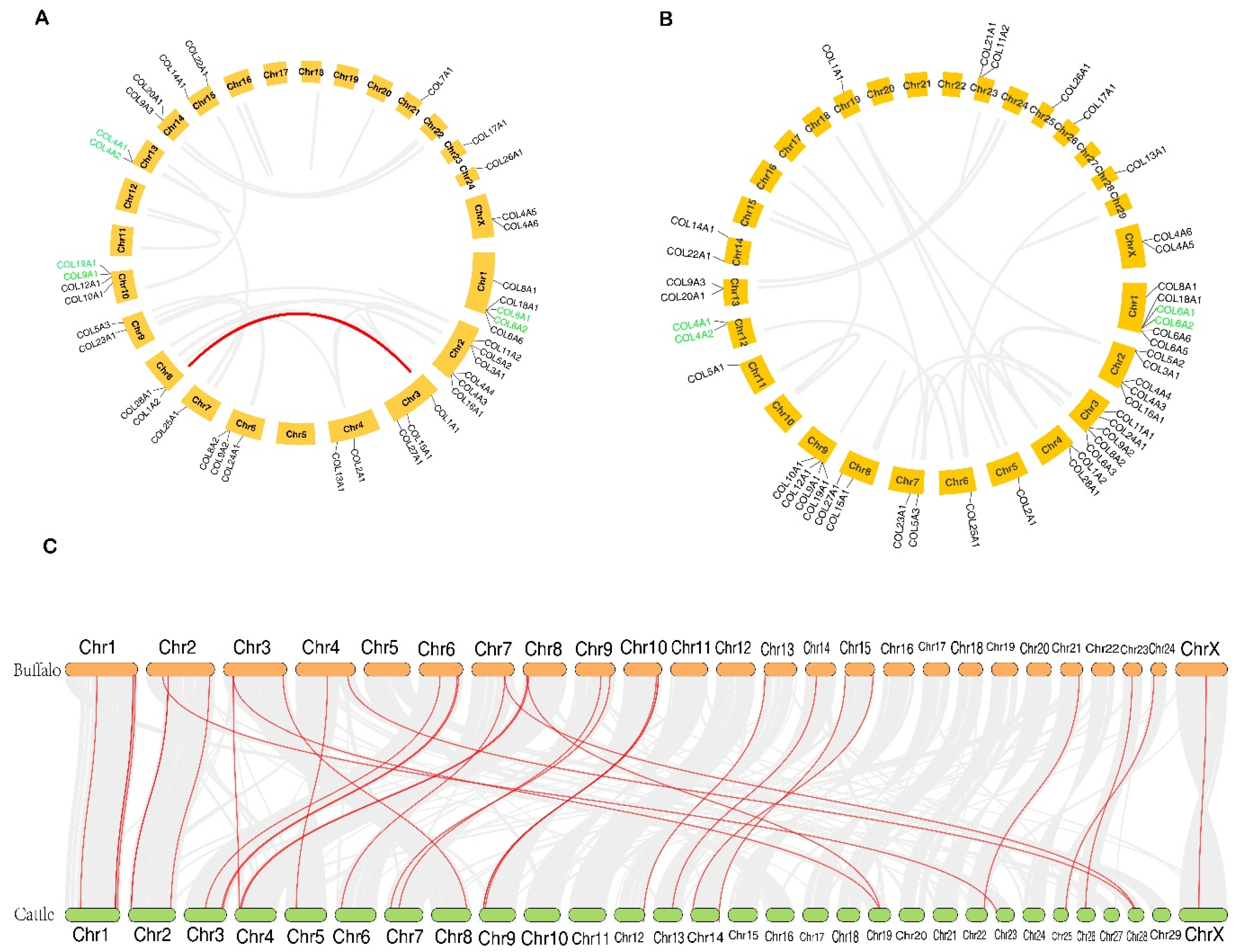 Genes 11 00515 g003