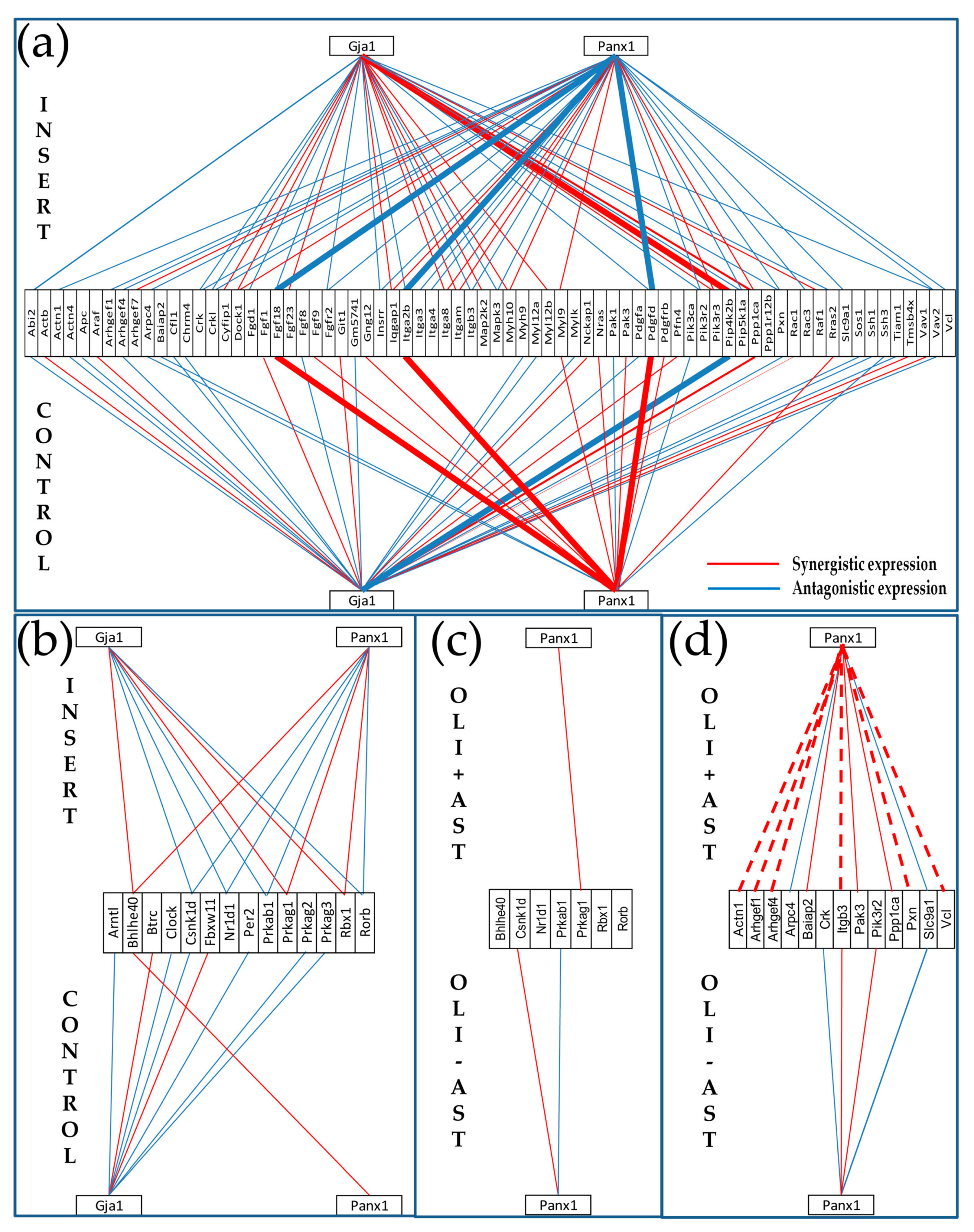 Genes 11 00520 g008