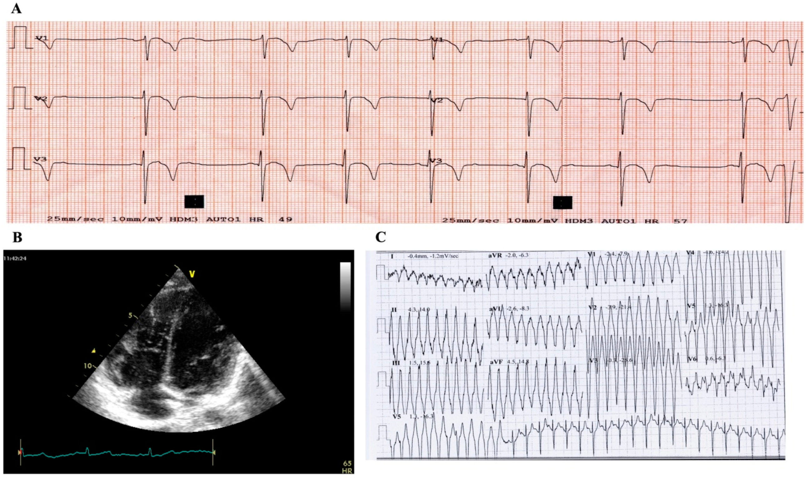 Genes 11 00524 g001 Genes 11 00524 g001