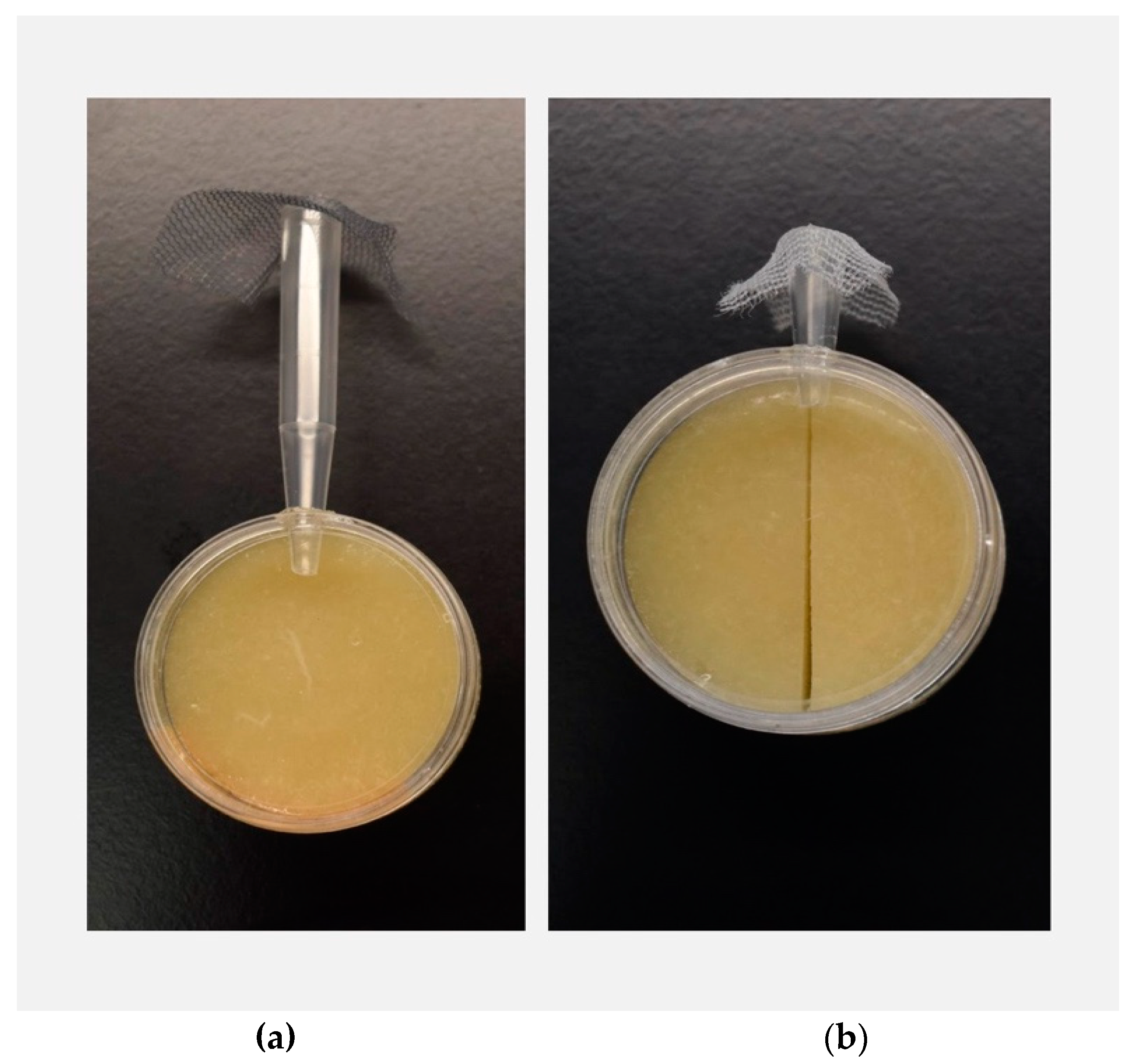 Genes 11 00528 g001 Genes 11 00528 g001