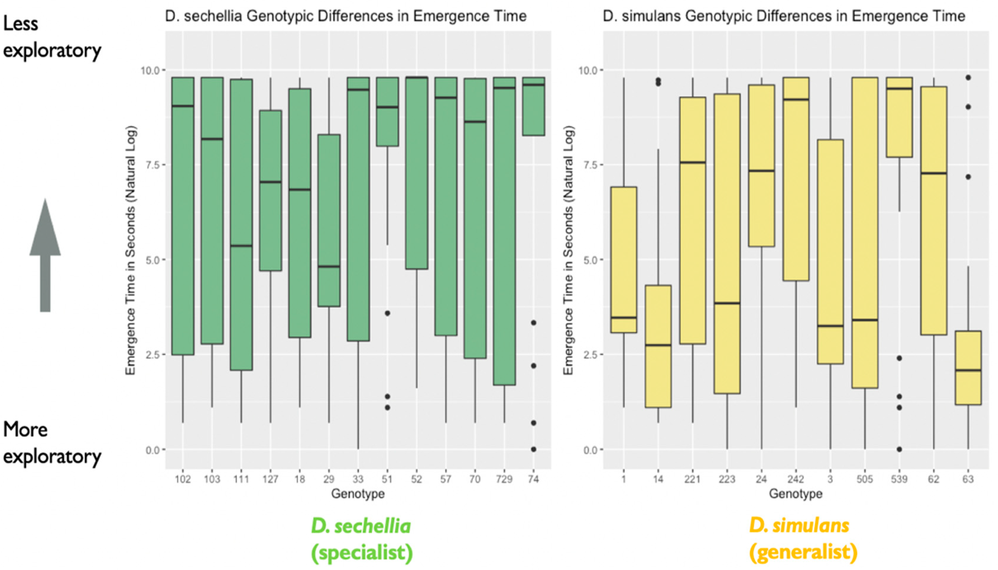 Genes 11 00528 g003 Genes 11 00528 g003