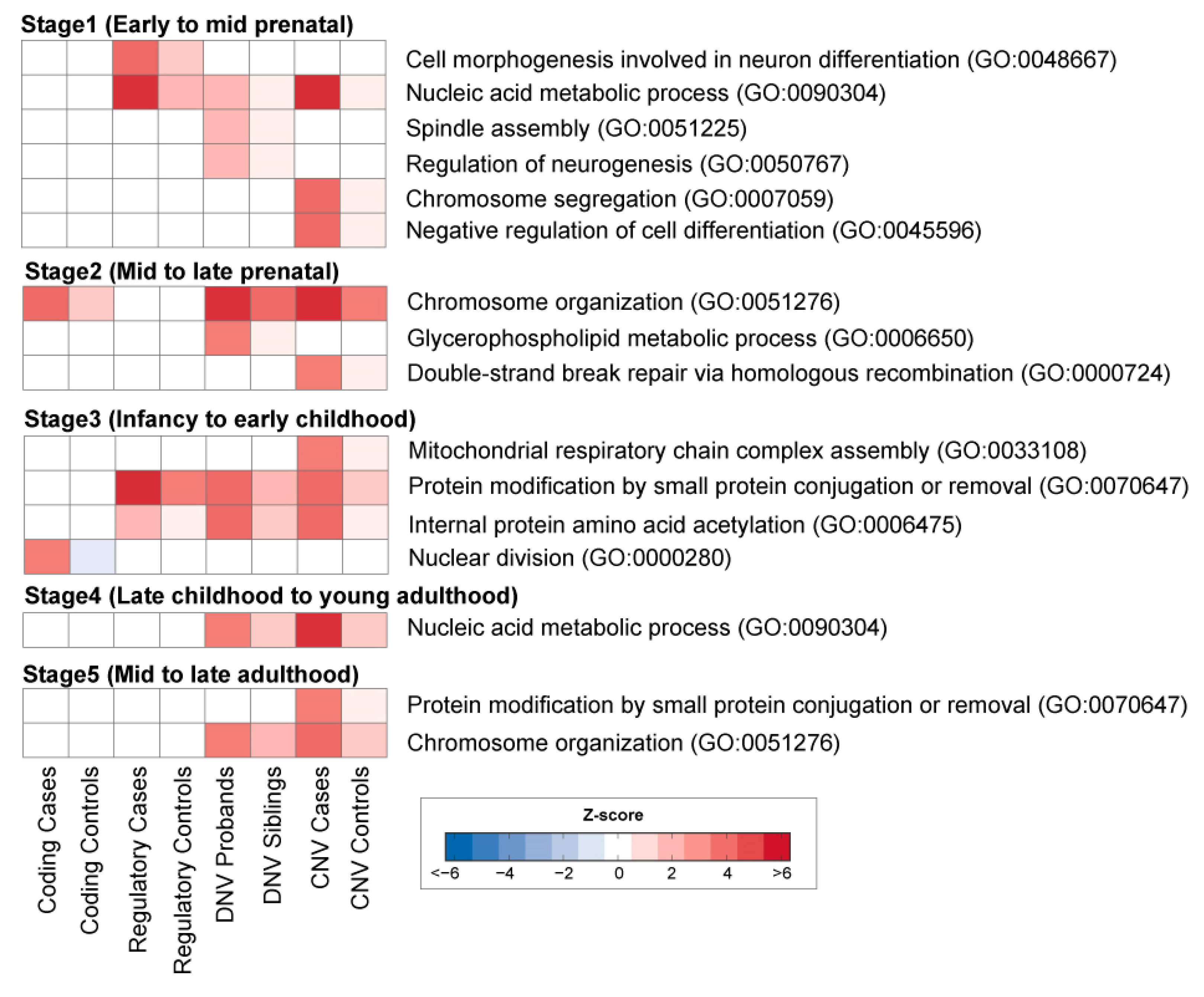 Genes 11 00535 g002 Genes 11 00535 g002