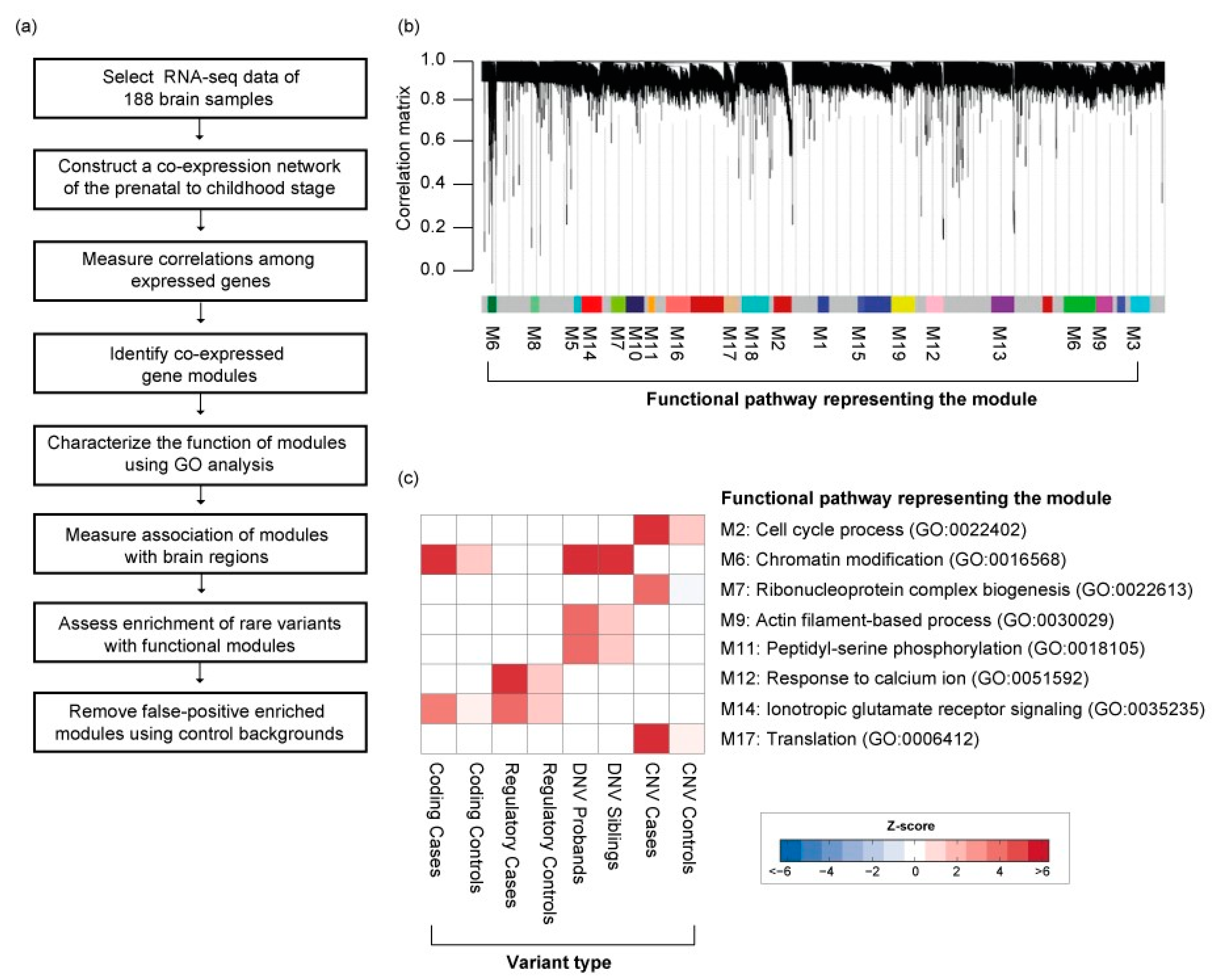 Genes 11 00535 g003 Genes 11 00535 g003