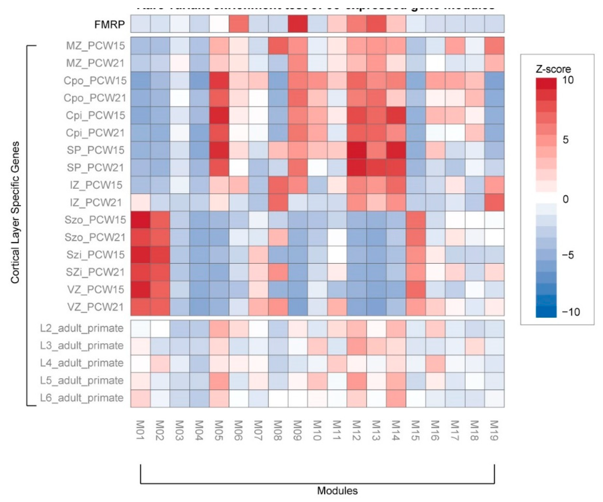Genes 11 00535 g004 Genes 11 00535 g004