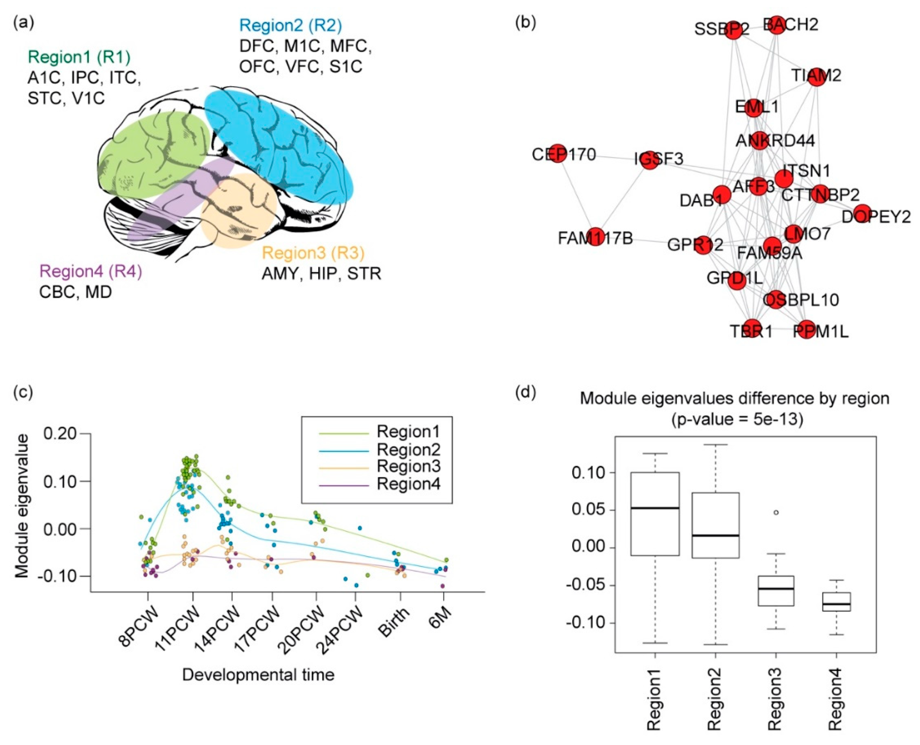Genes 11 00535 g005 Genes 11 00535 g005