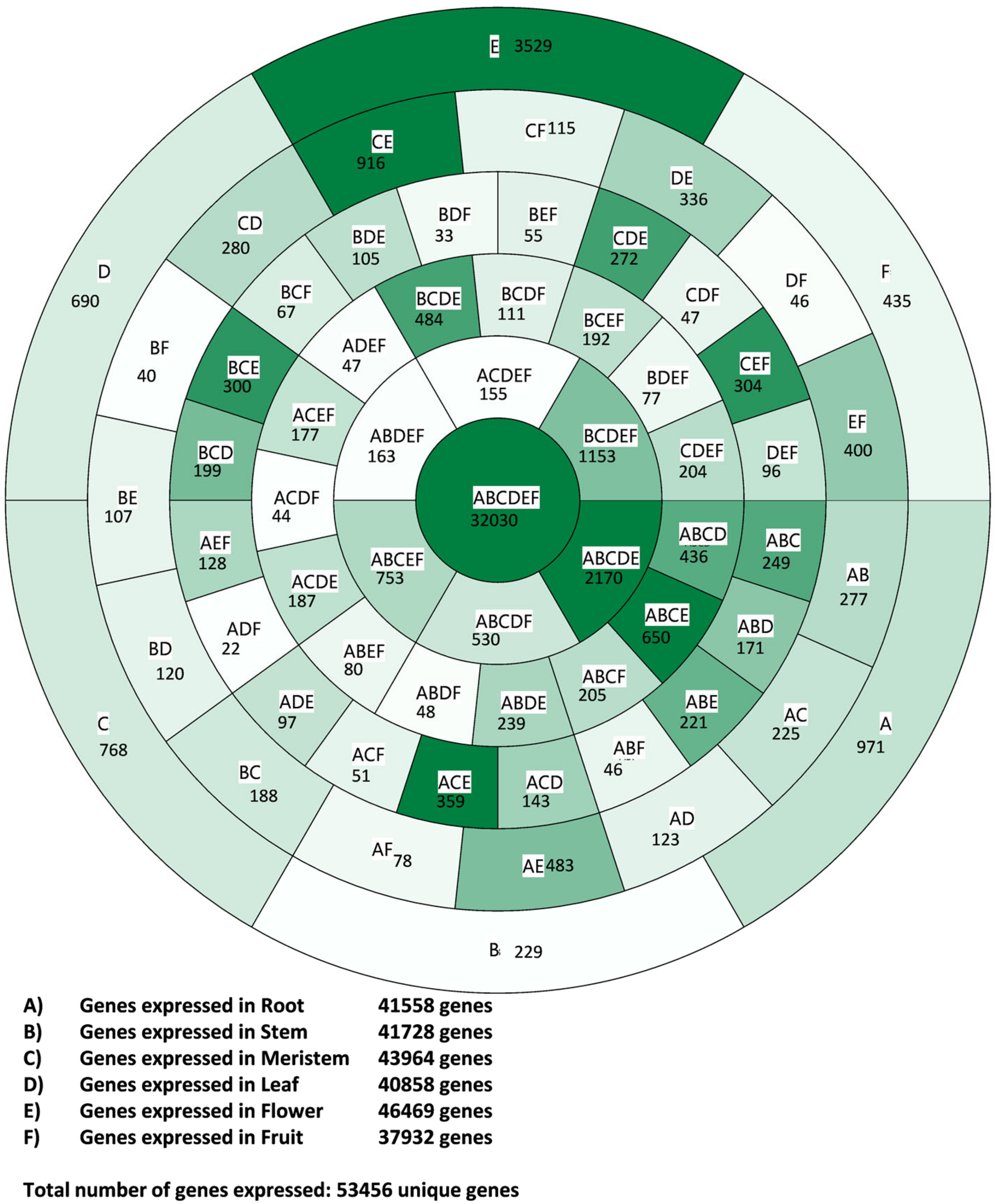 Genes 11 00544 g001 Genes 11 00544 g001