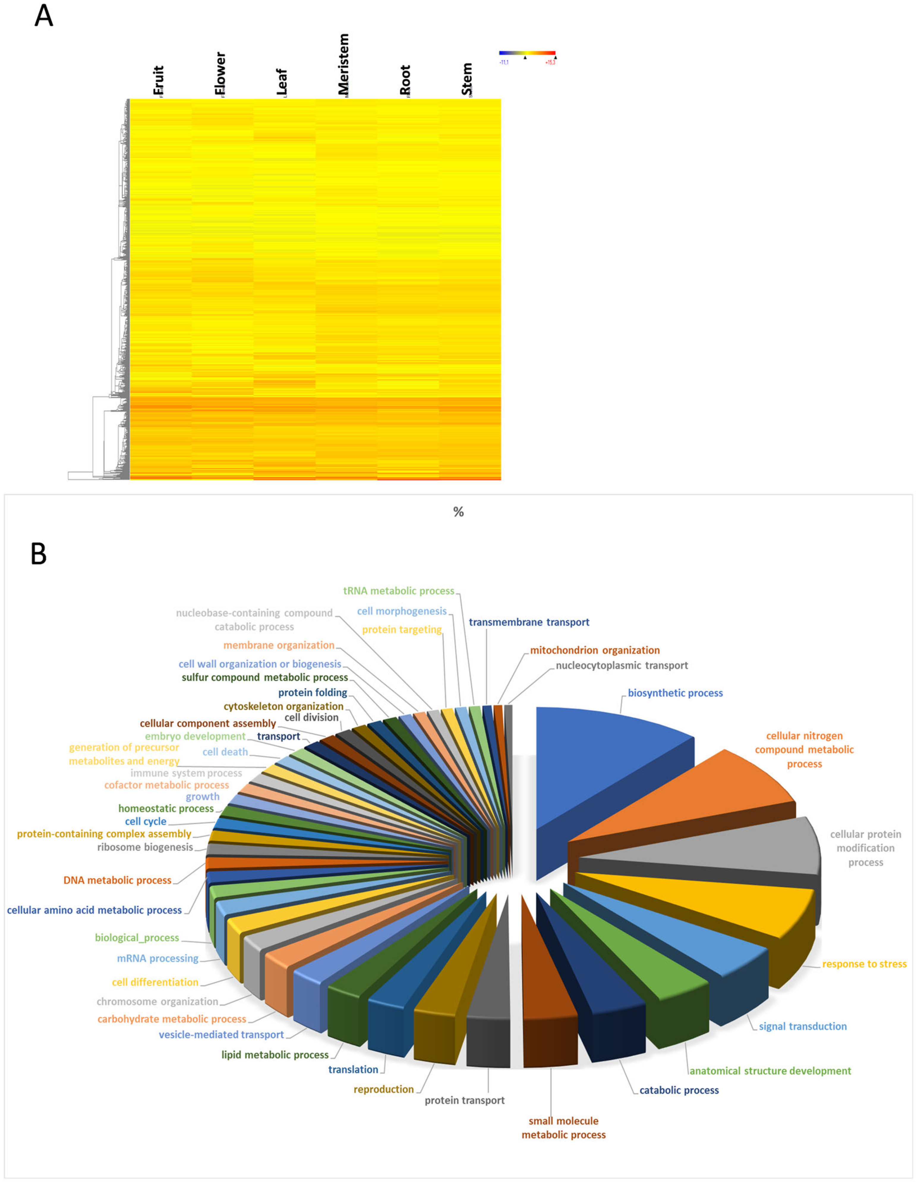 Genes 11 00544 g002 Genes 11 00544 g002