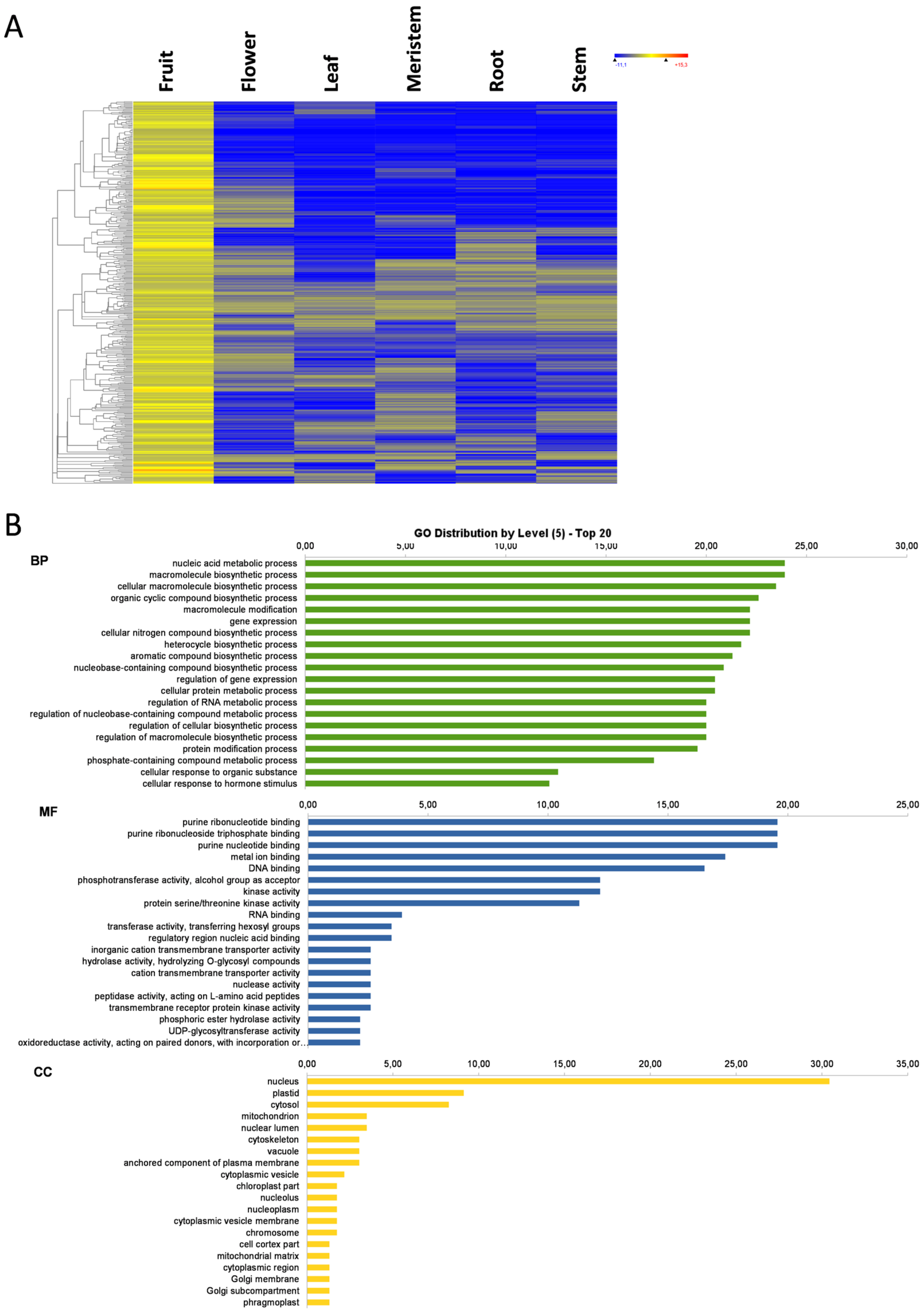 Genes 11 00544 g003a Genes 11 00544 g003a