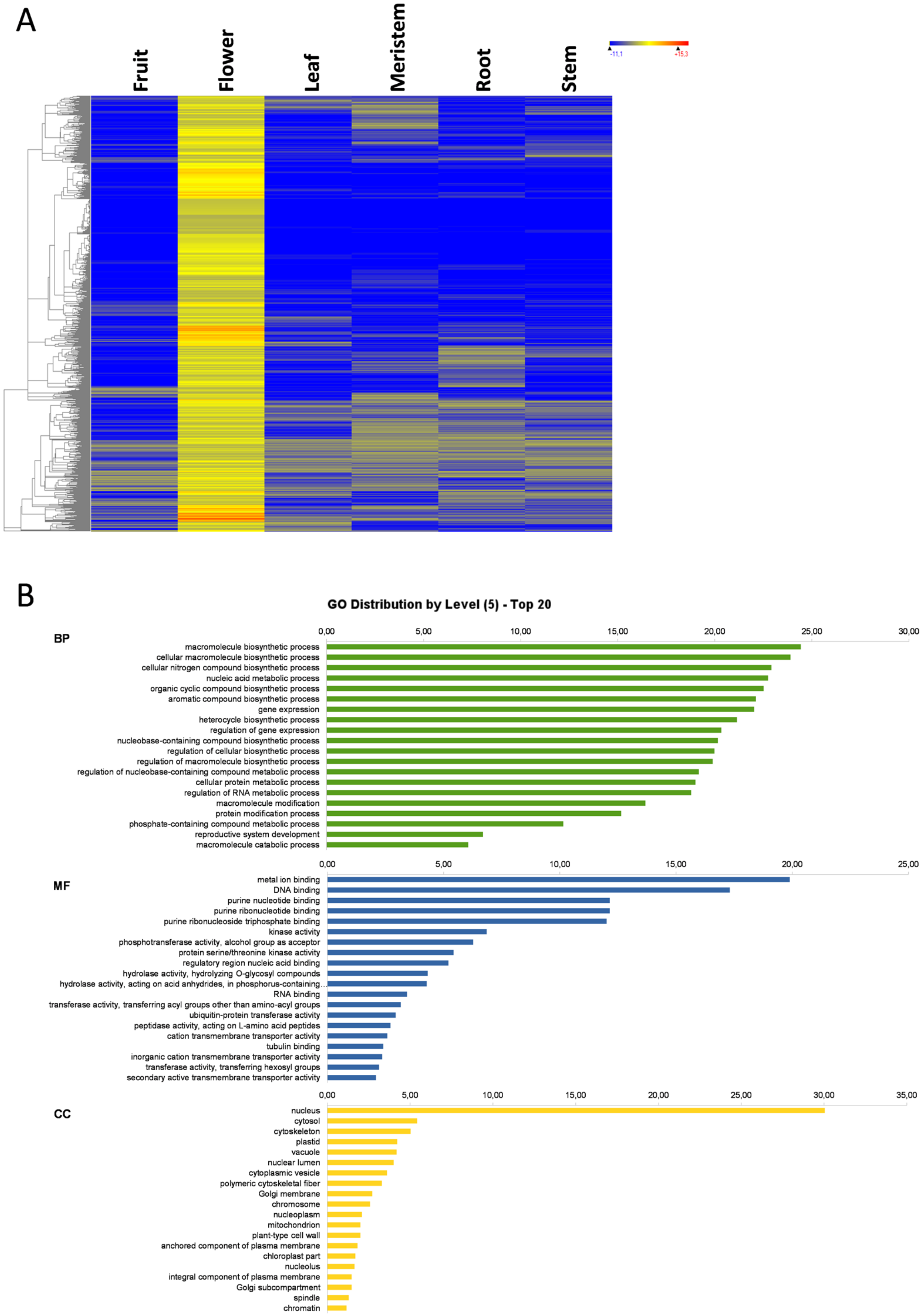 Genes 11 00544 g004a Genes 11 00544 g004a