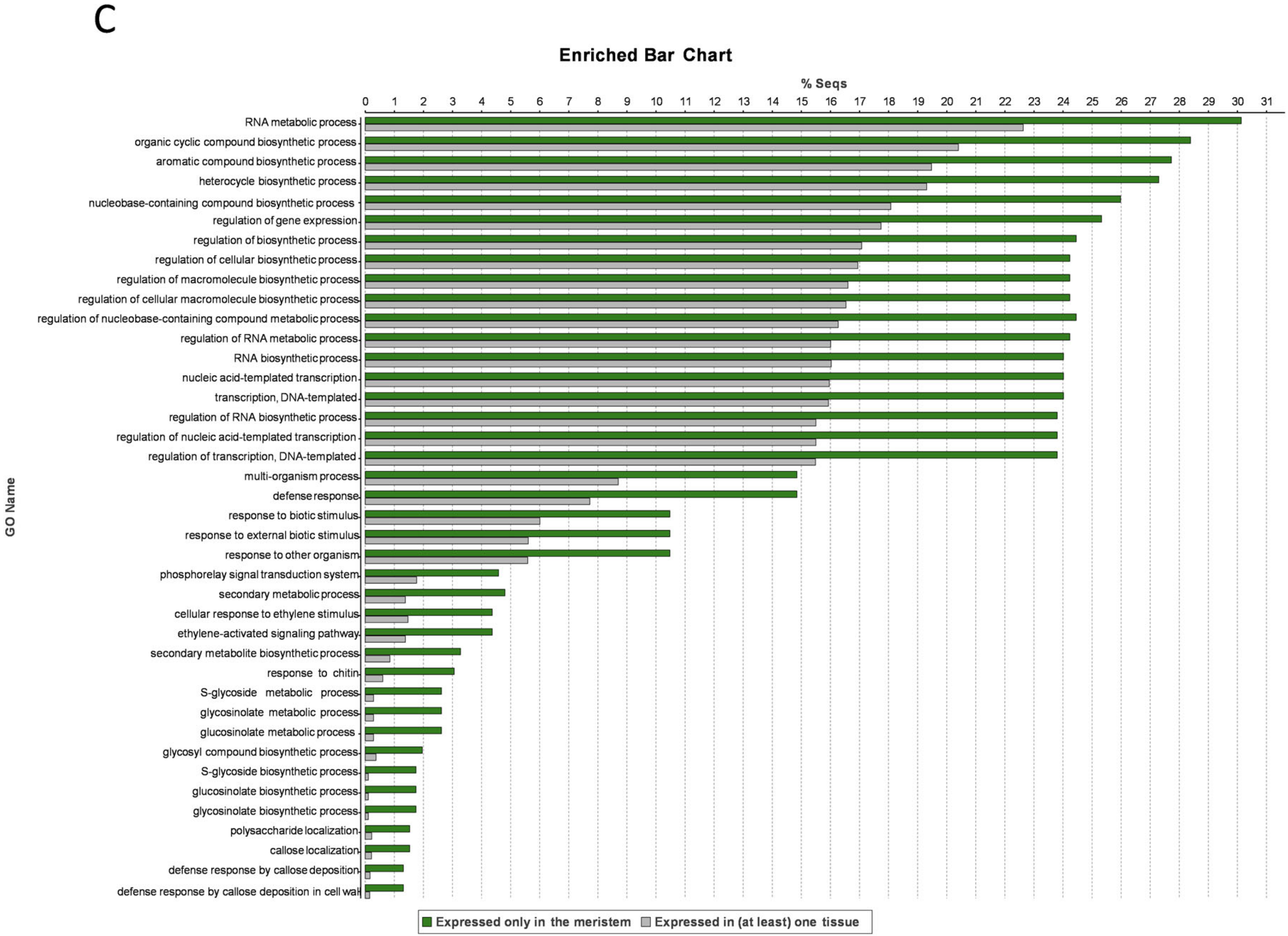 Genes 11 00544 g006b Genes 11 00544 g006b