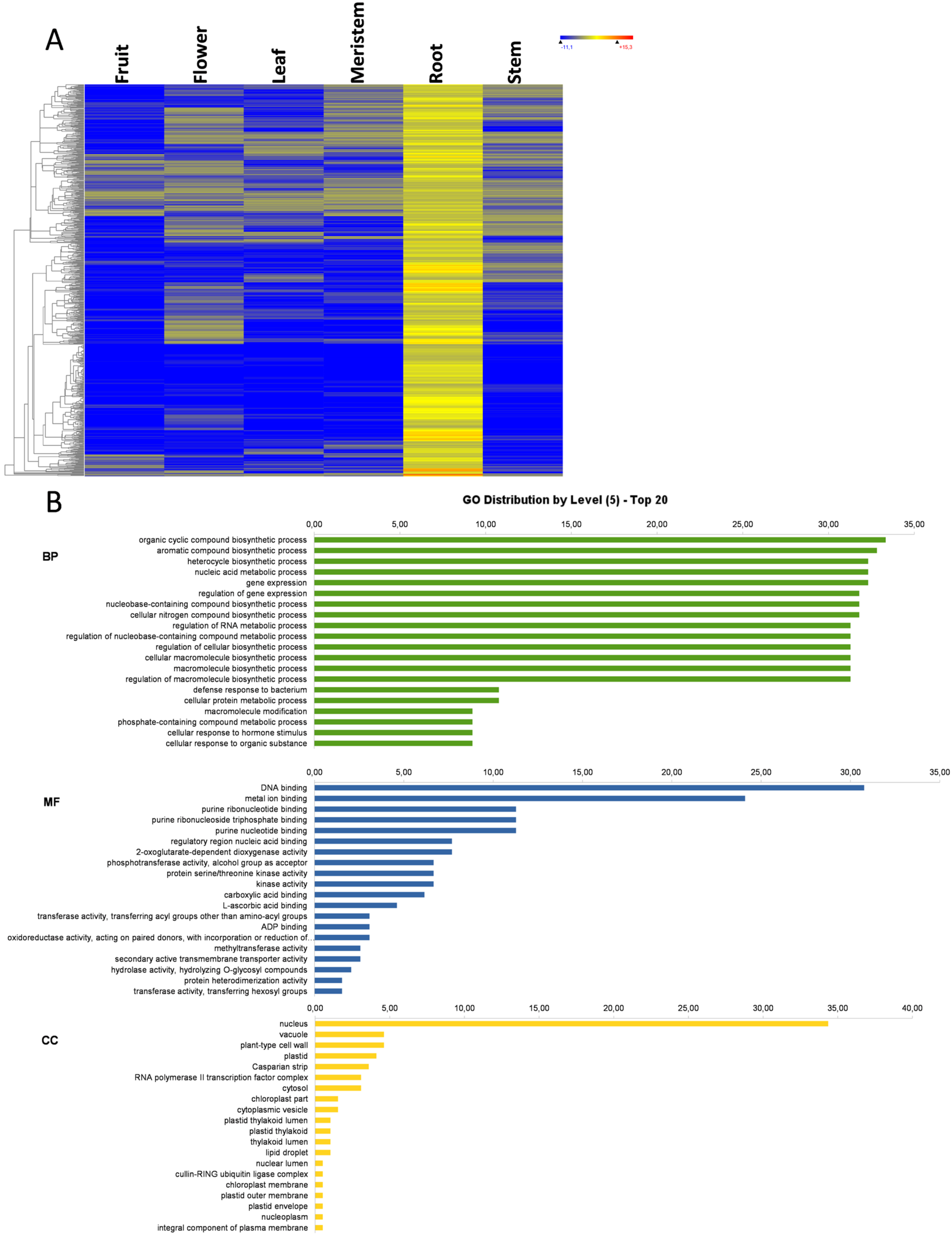 Genes 11 00544 g007a Genes 11 00544 g007a