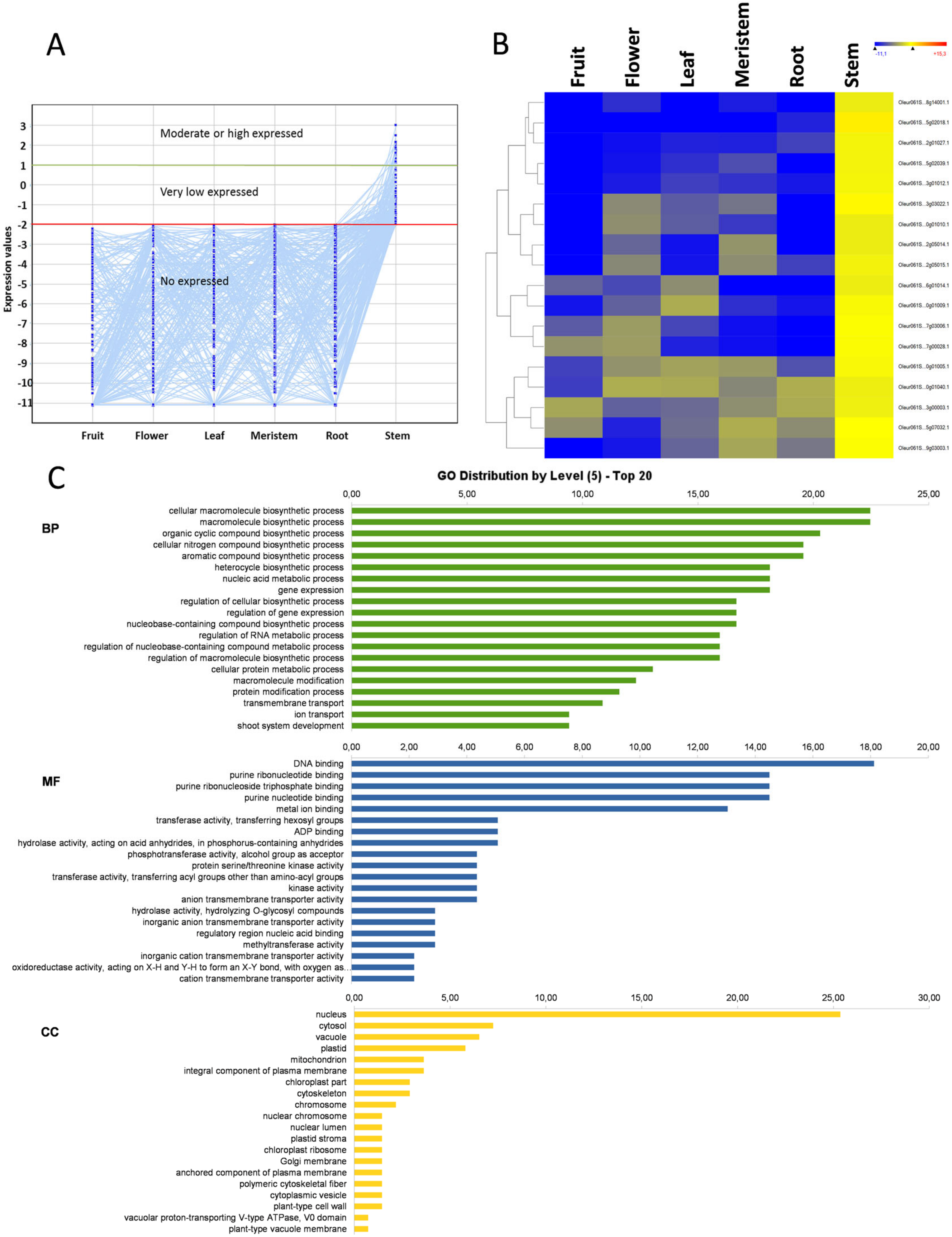 Genes 11 00544 g008 Genes 11 00544 g008