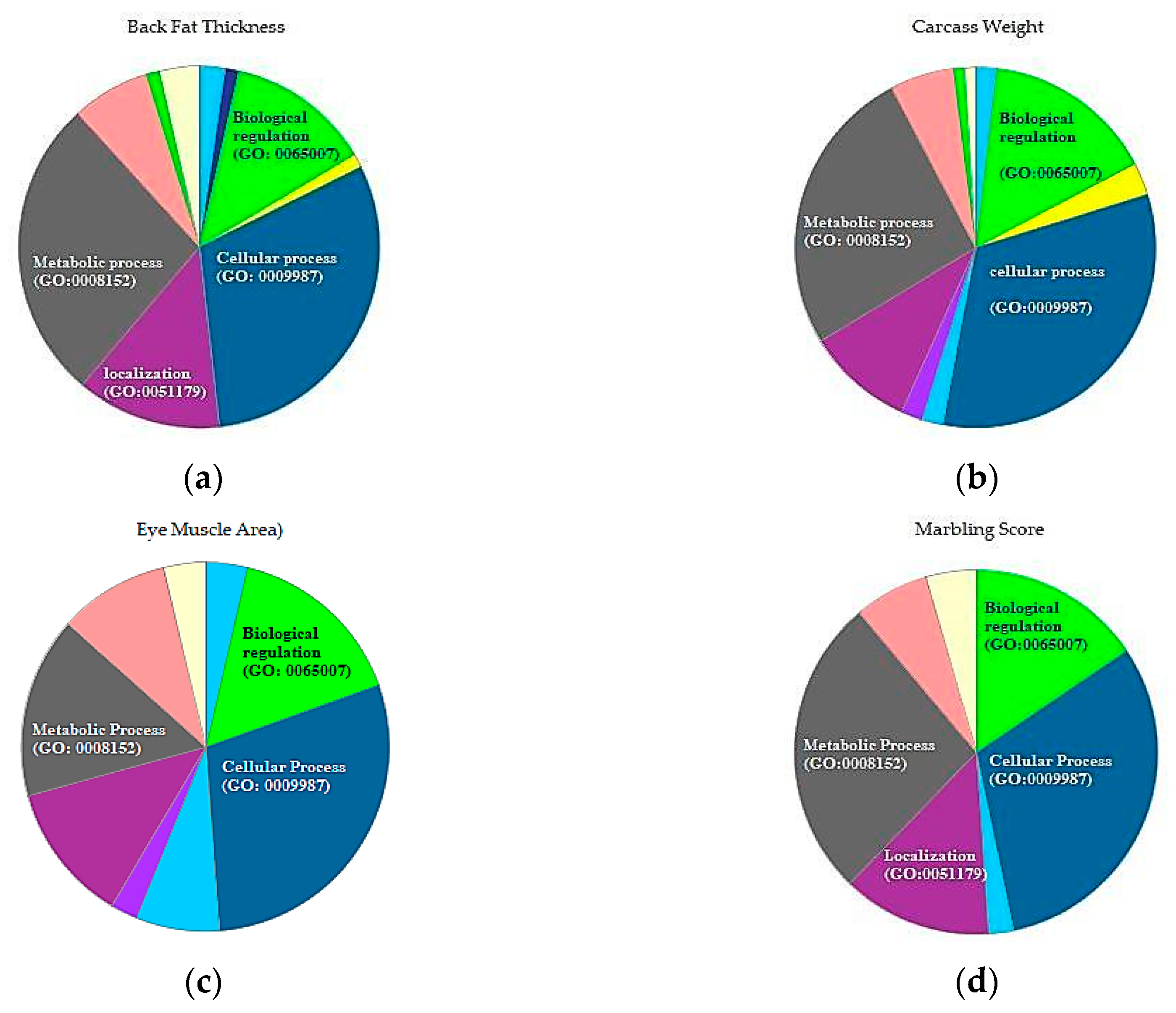 Genes 11 00551 g003 Genes 11 00551 g003