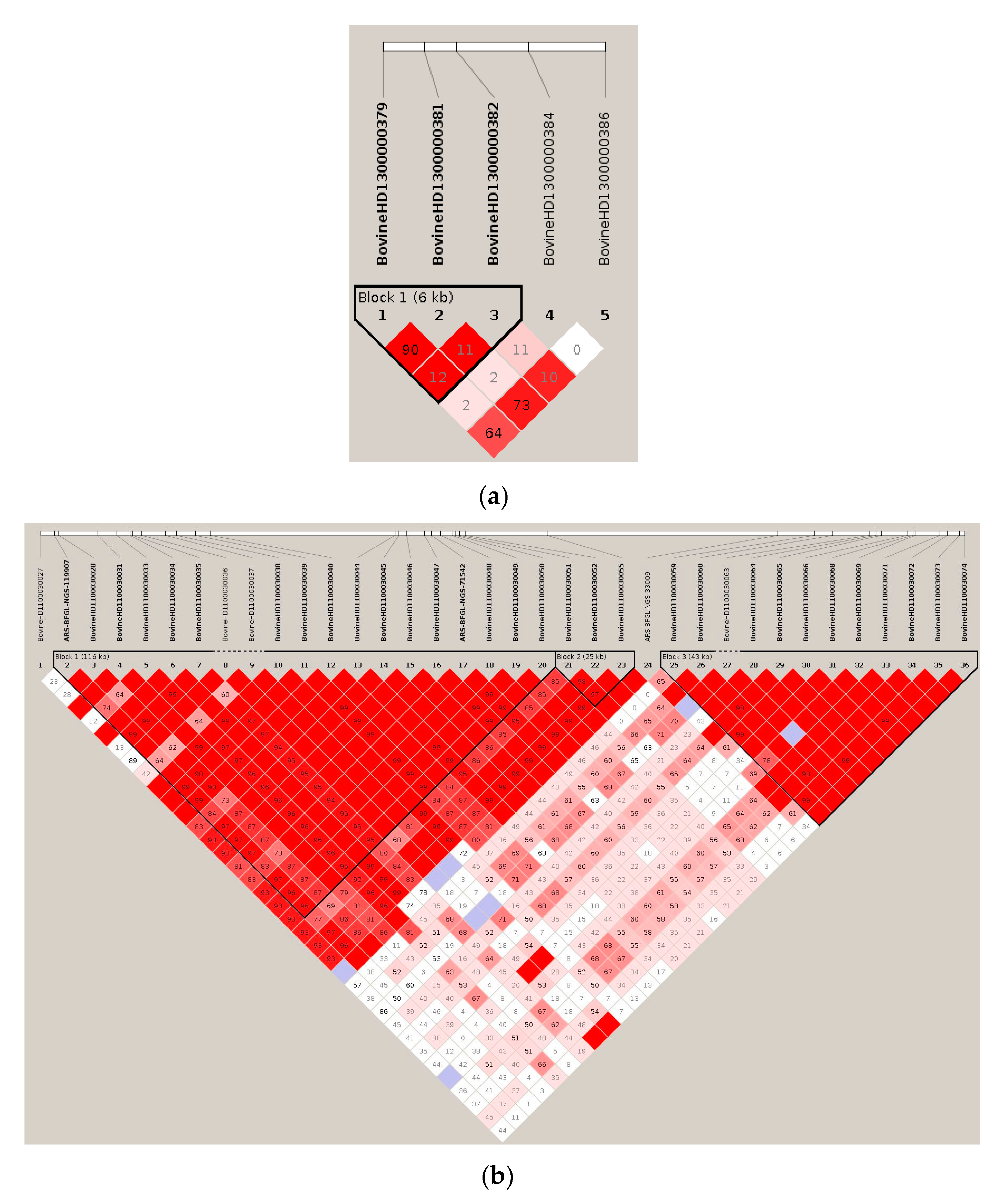 Genes 11 00551 g004a Genes 11 00551 g004a
