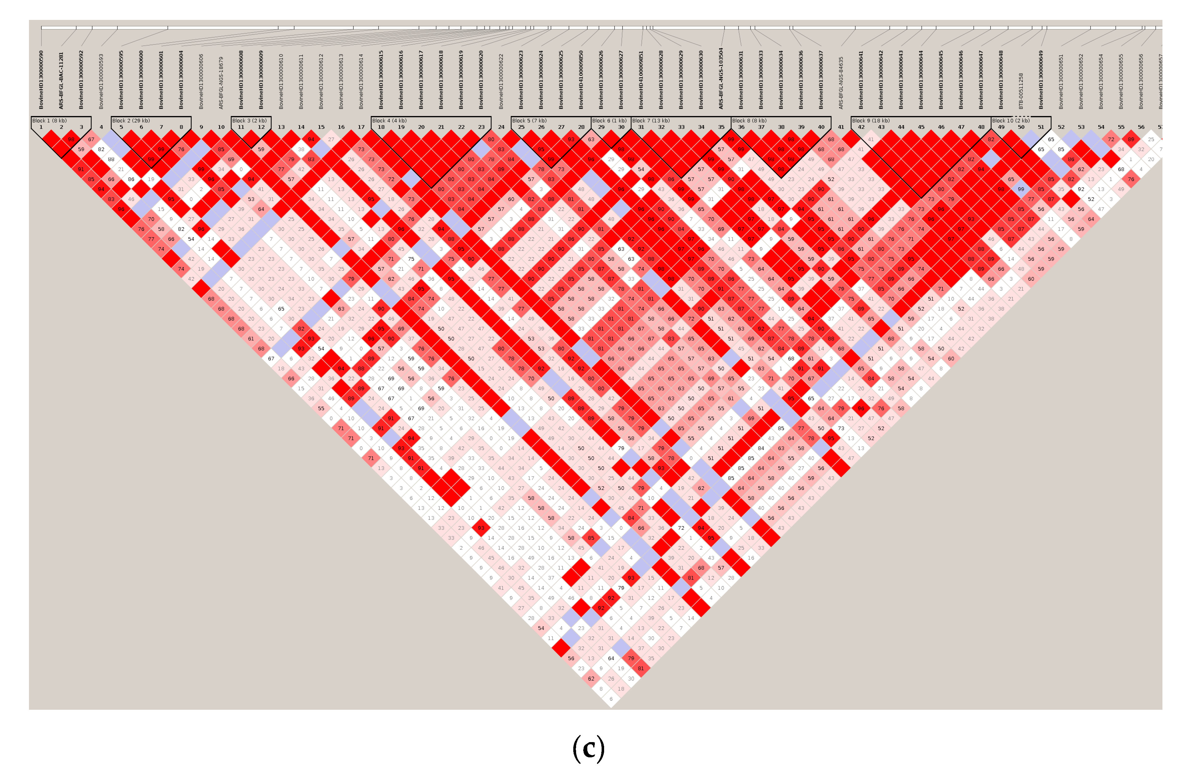 Genes 11 00551 g004b Genes 11 00551 g004b