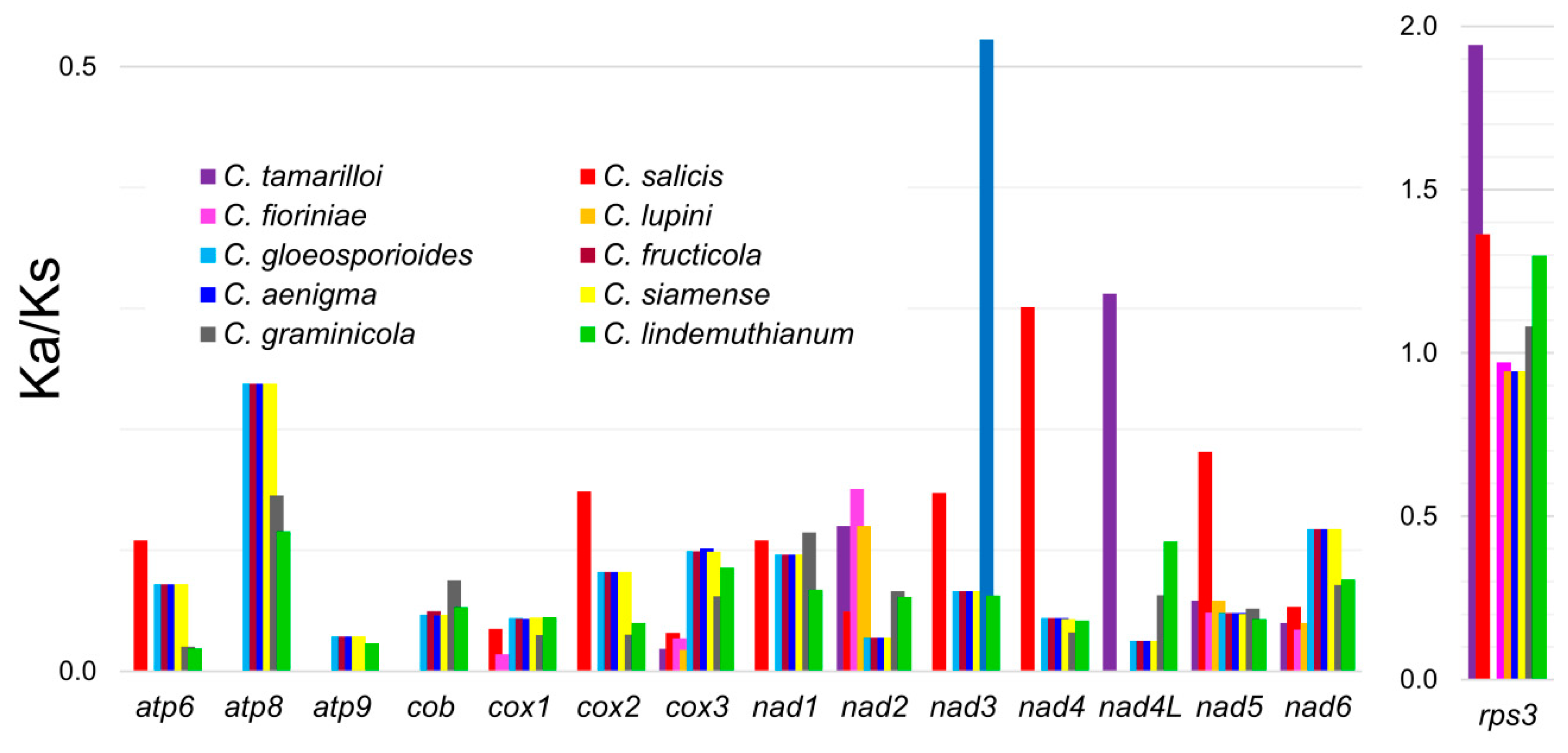 Genes 11 00552 g002