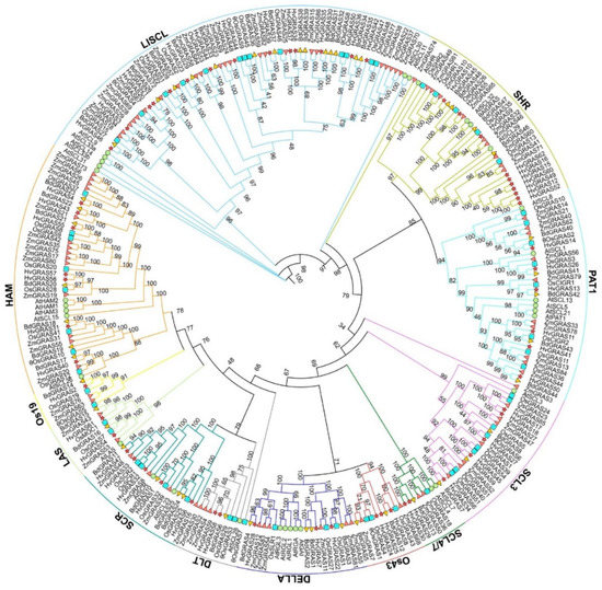 Genome-Wide Analysis of the GRAS Gene Family in Barley (Hordeum vulgare L.)