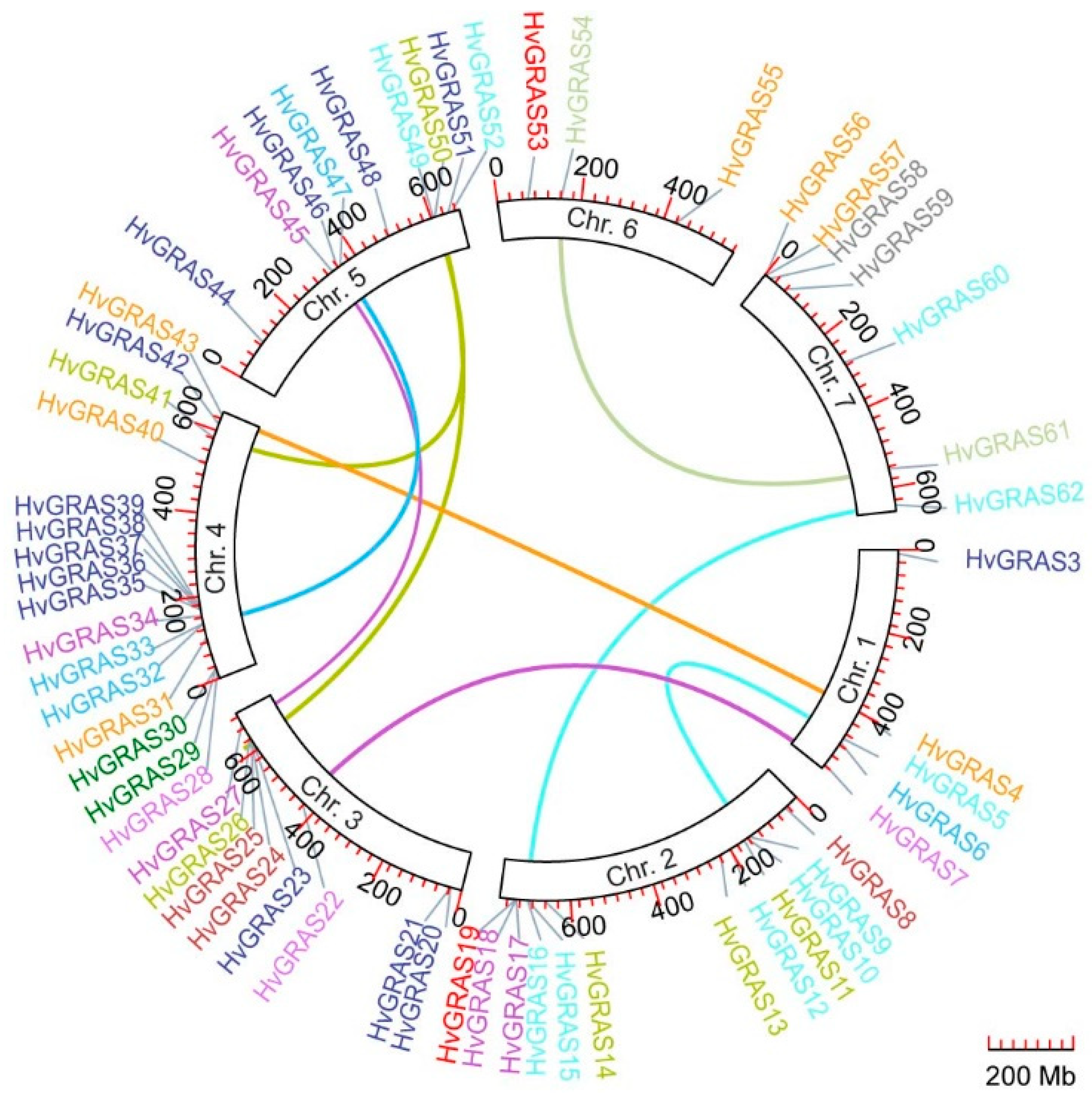 Genes 11 00553 g002 Genes 11 00553 g002