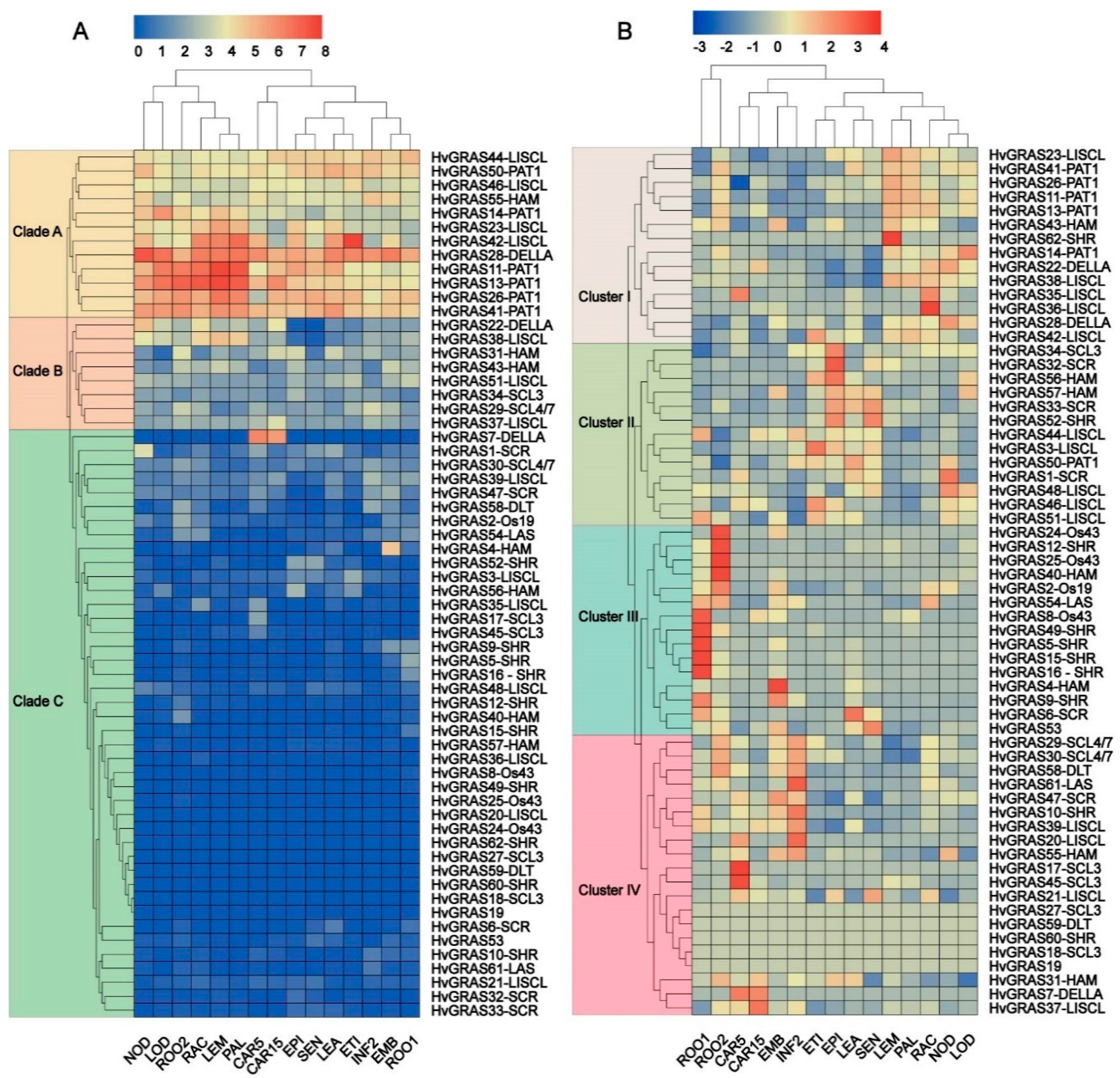 Genes 11 00553 g004 Genes 11 00553 g004