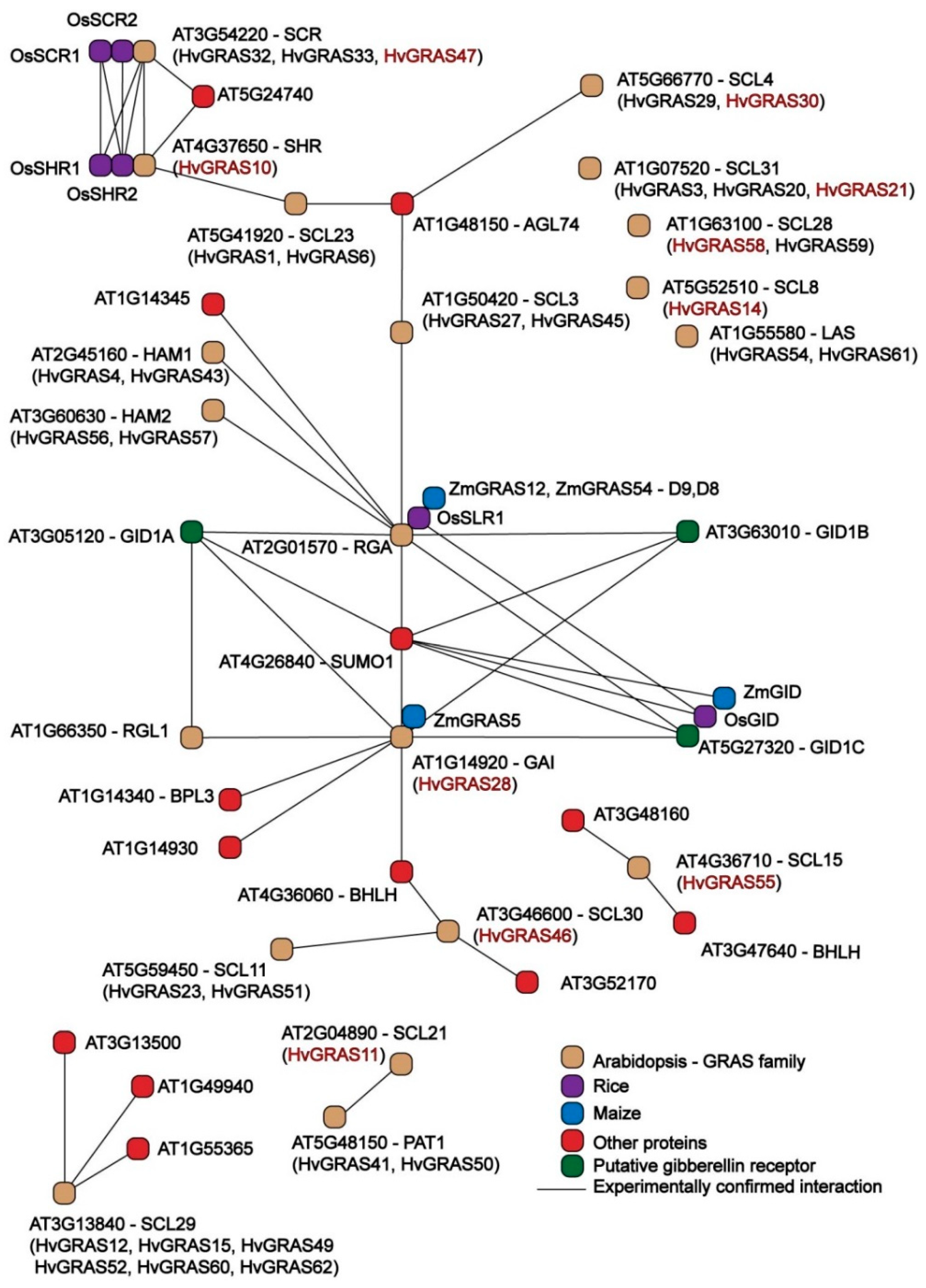 Genes 11 00553 g006 Genes 11 00553 g006