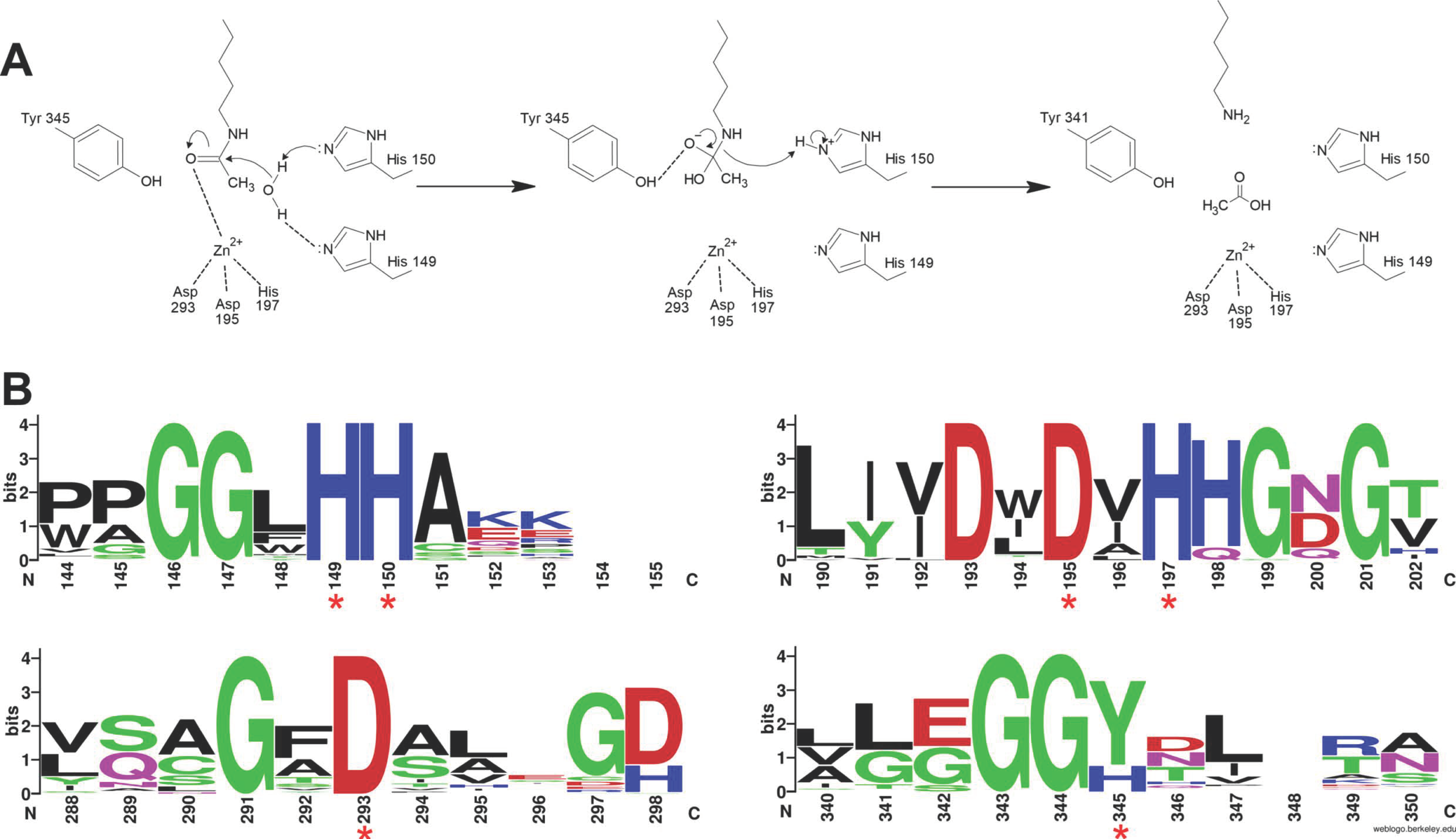 Genes 11 00556 g003 Genes 11 00556 g003
