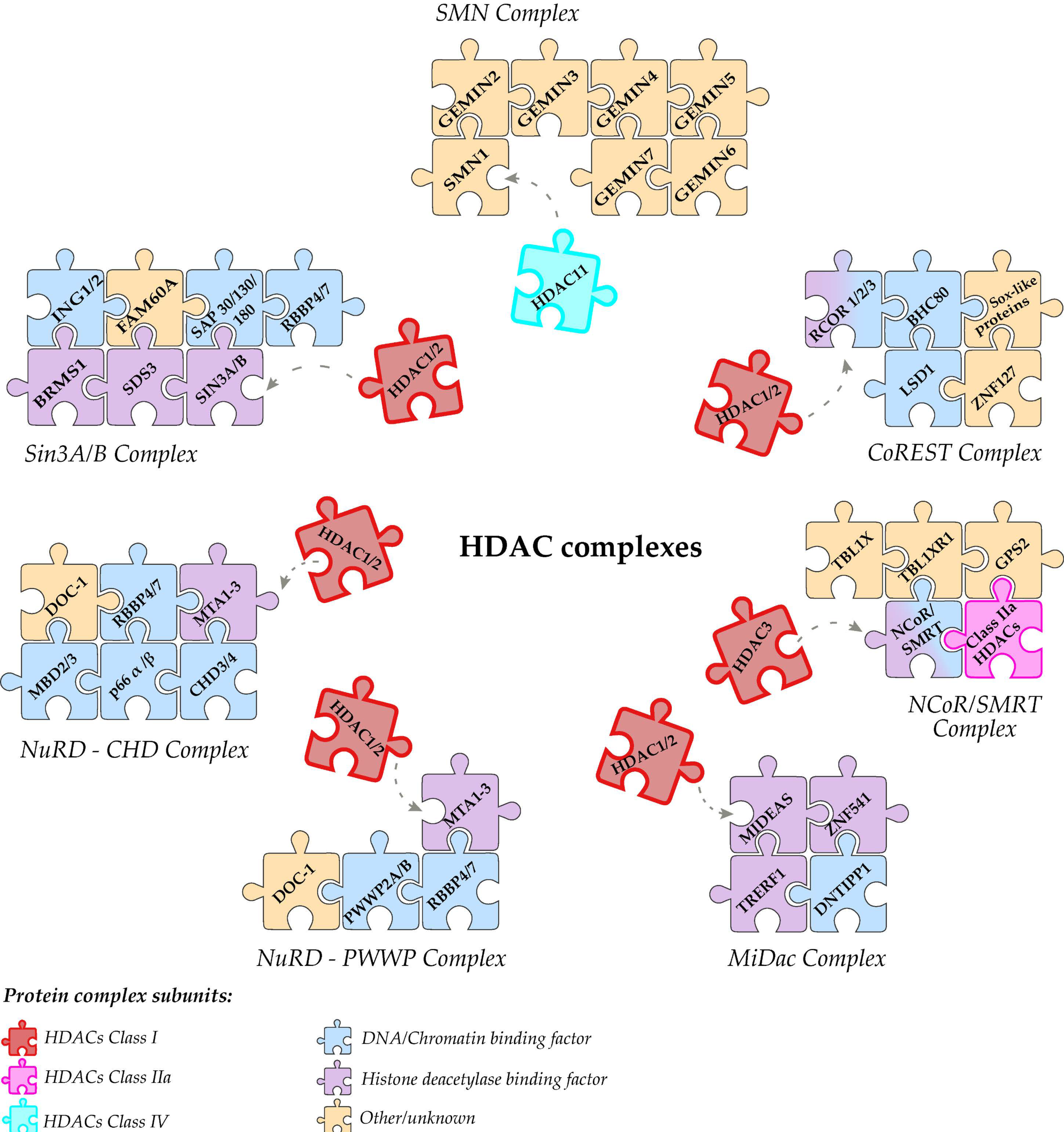 Genes 11 00556 g005 Genes 11 00556 g005