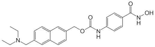 Genes 11 00556 i005 Genes 11 00556 i005