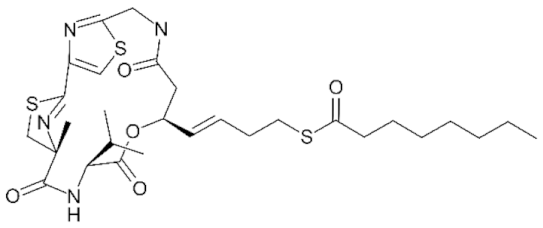 Genes 11 00556 i020 Genes 11 00556 i020