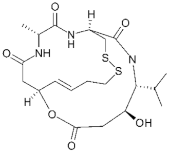 Genes 11 00556 i021 Genes 11 00556 i021
