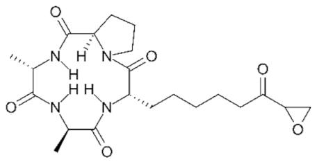 Genes 11 00556 i024 Genes 11 00556 i024